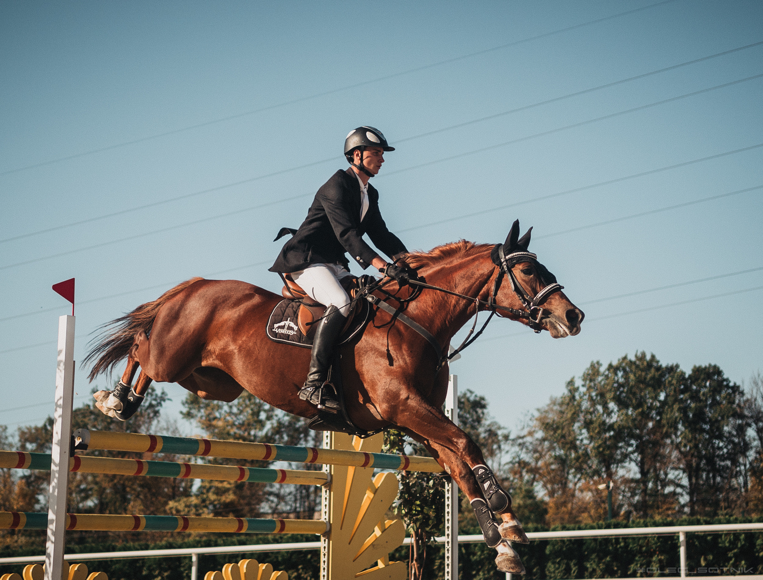 Контент для конного клуба. Фотограф Олег Сотник