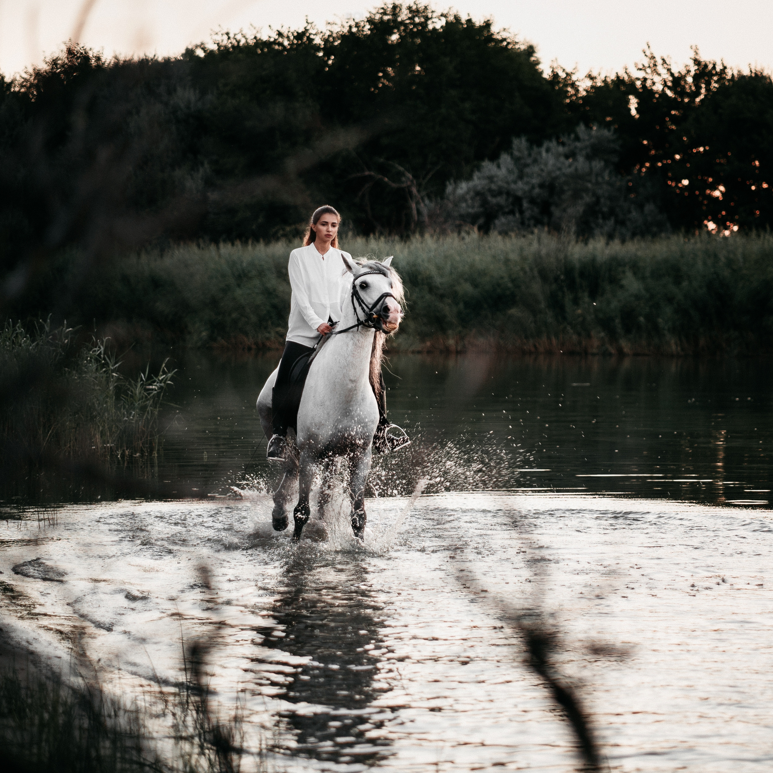 Контент для конного клуба. Фотограф Олег Сотник