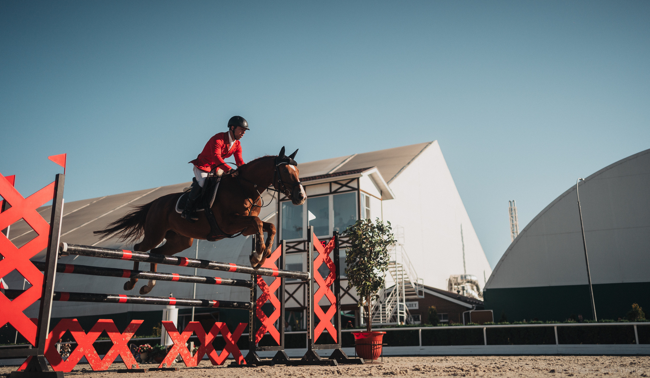 Контент для конного клуба. Фотограф Олег Сотник