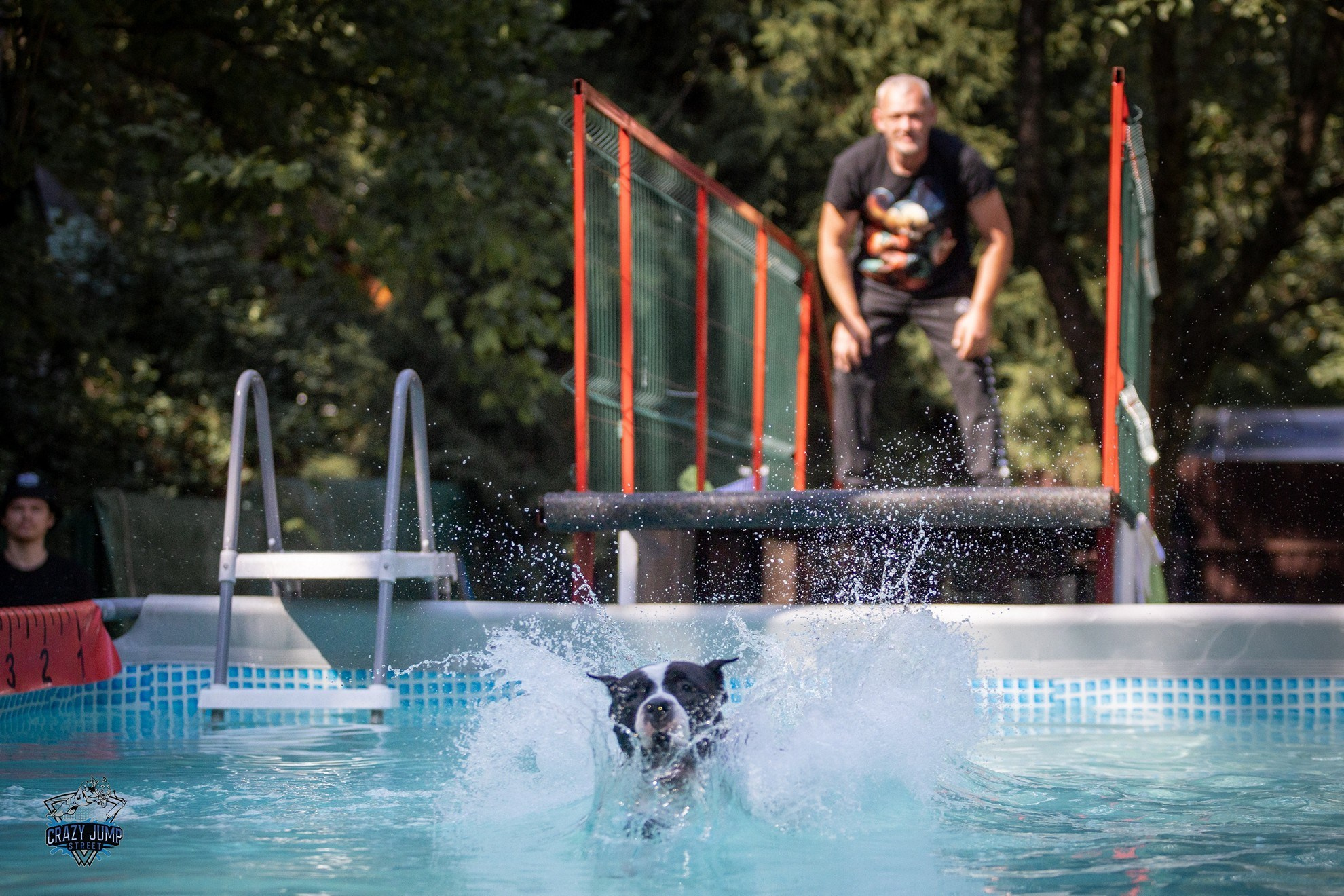 Собаки, спорт, Док дайвинг. Свадебный и репортажный фотограф в Москве и Московской области