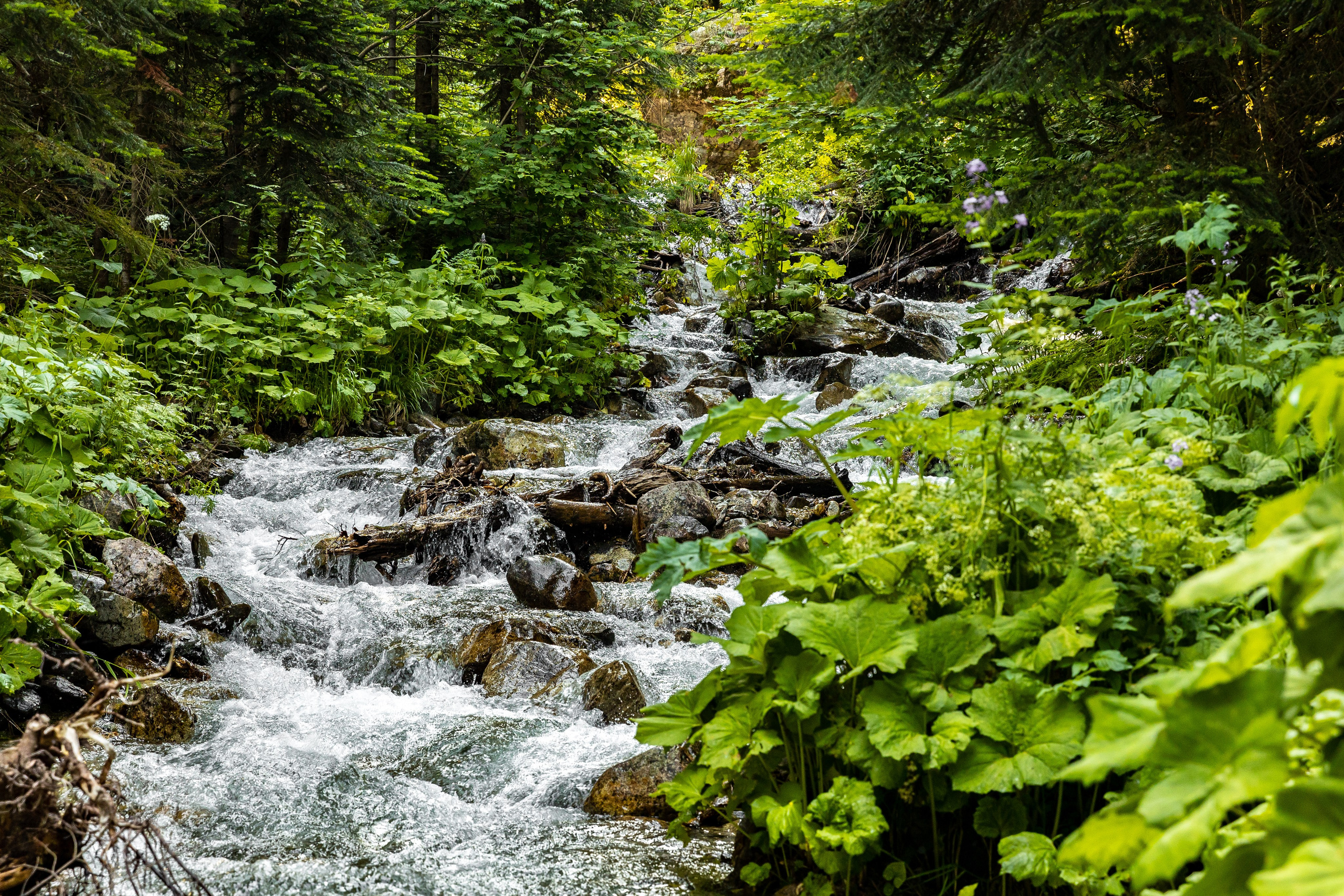 АРХИТЕКТУРА / ОКРУЖАЮЩАЯ СРЕДА. Фотосъёмка Сочи, Адлер, Красная Поляна