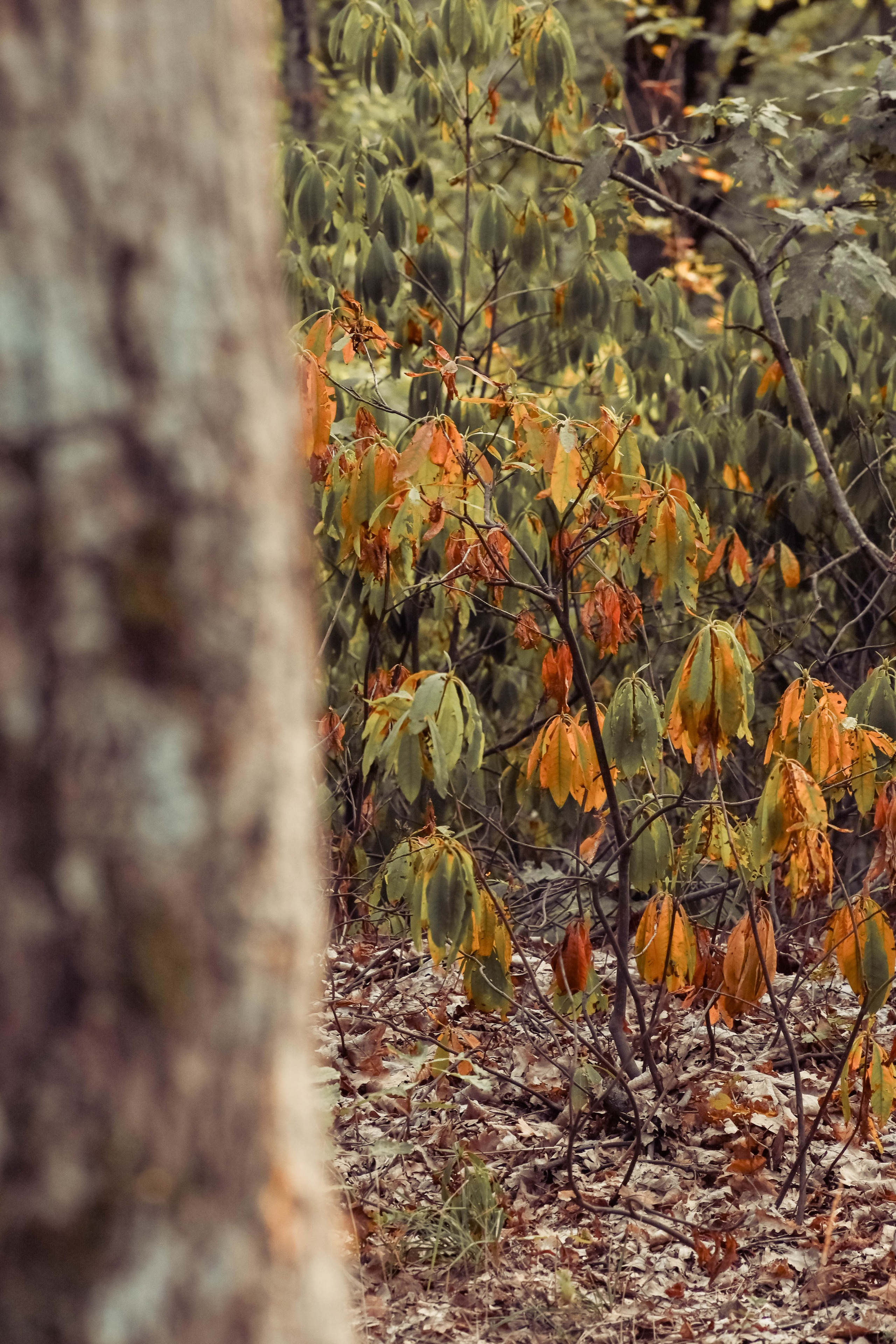 Веселые девчата. Предметный фотограф в Горячем Ключе Вера Швец