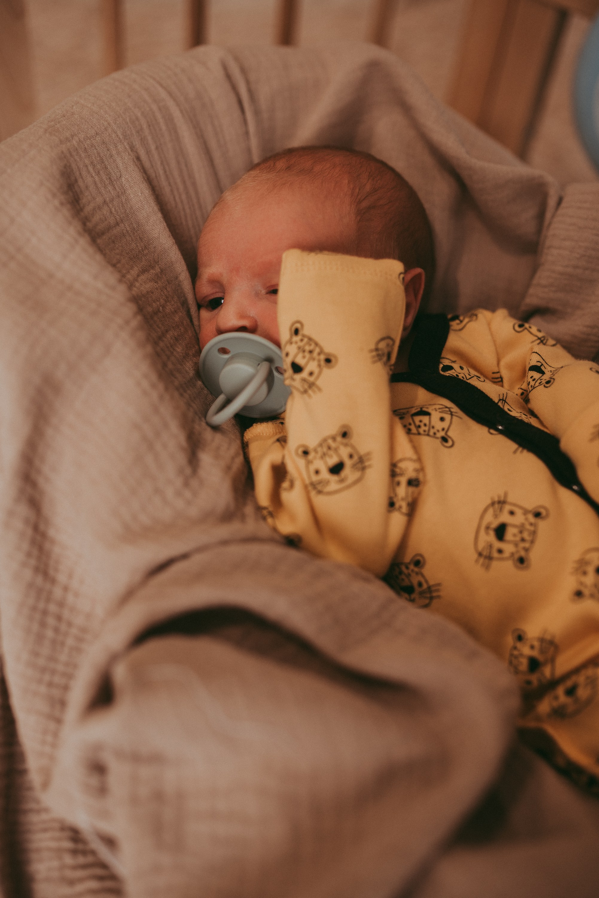 Маленький космос. Семейный и детский фотограф в Новосибирске и Краснообске — Анна Ким