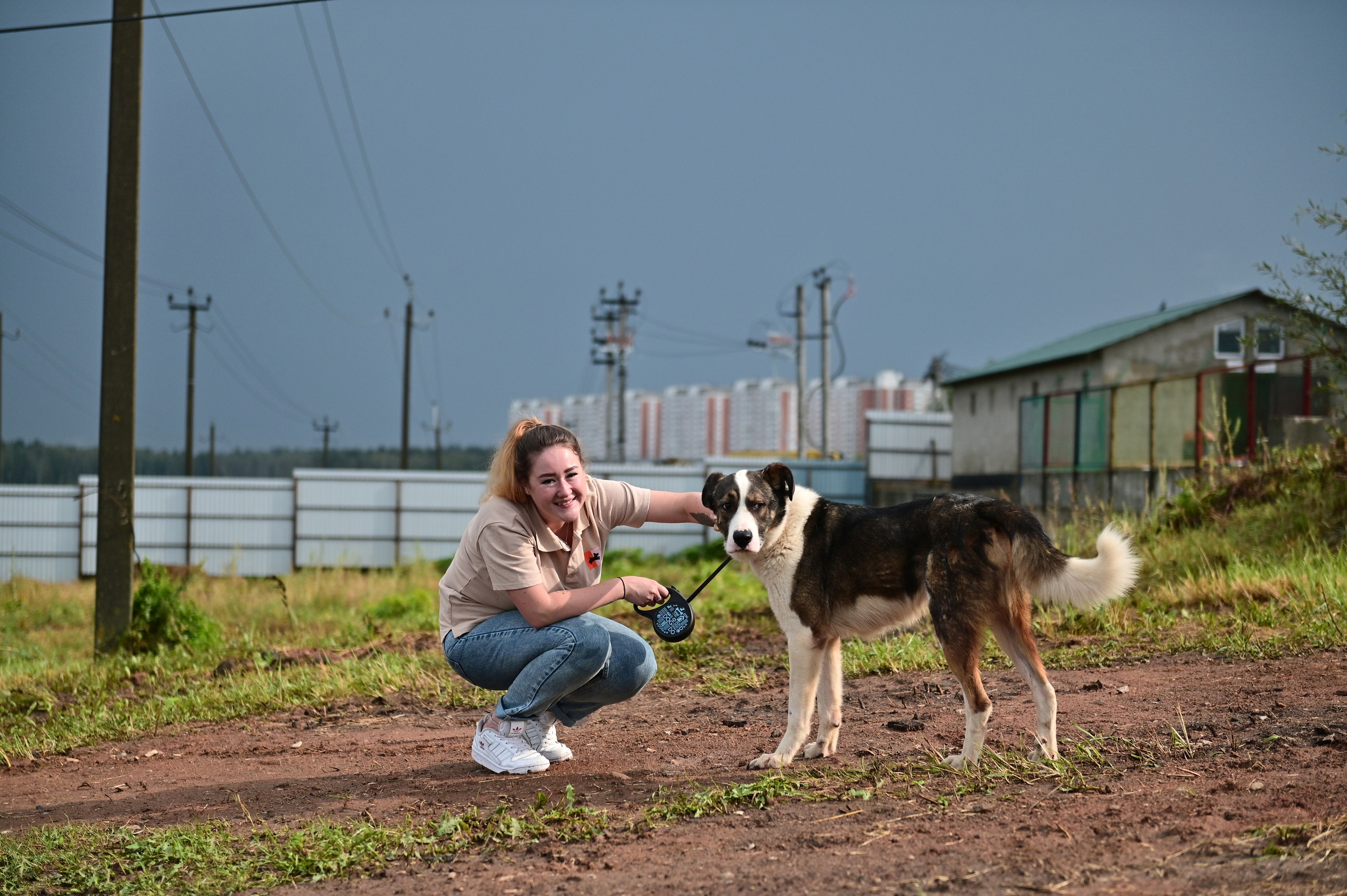 Добролап: поездка в приют «Ника». Анна Пушина, фотограф, Москва, Королев, Пушкино