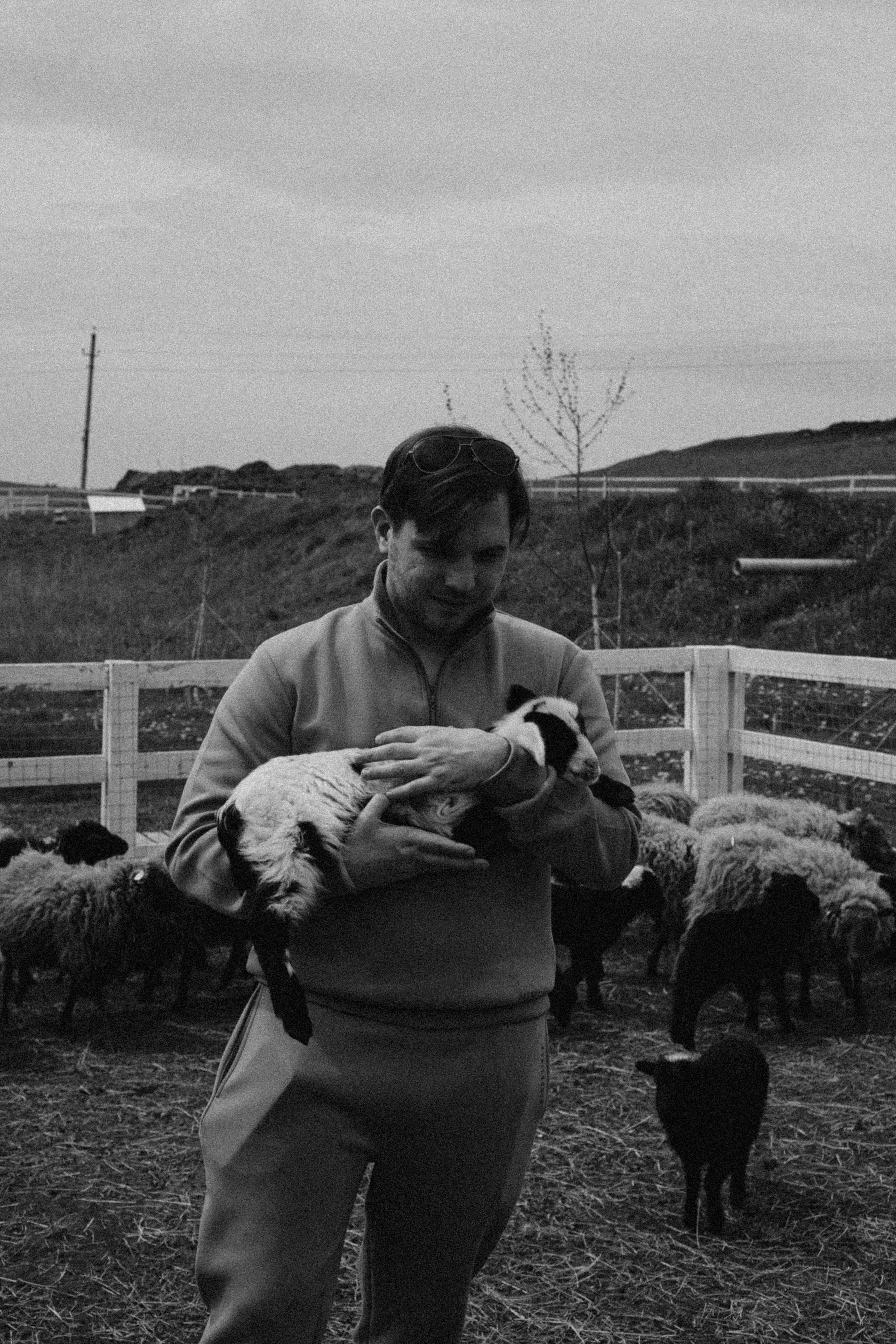 Ферма Альпак. Профессиональный фотограф, Санкт-Петербург — Виктория Богомолова