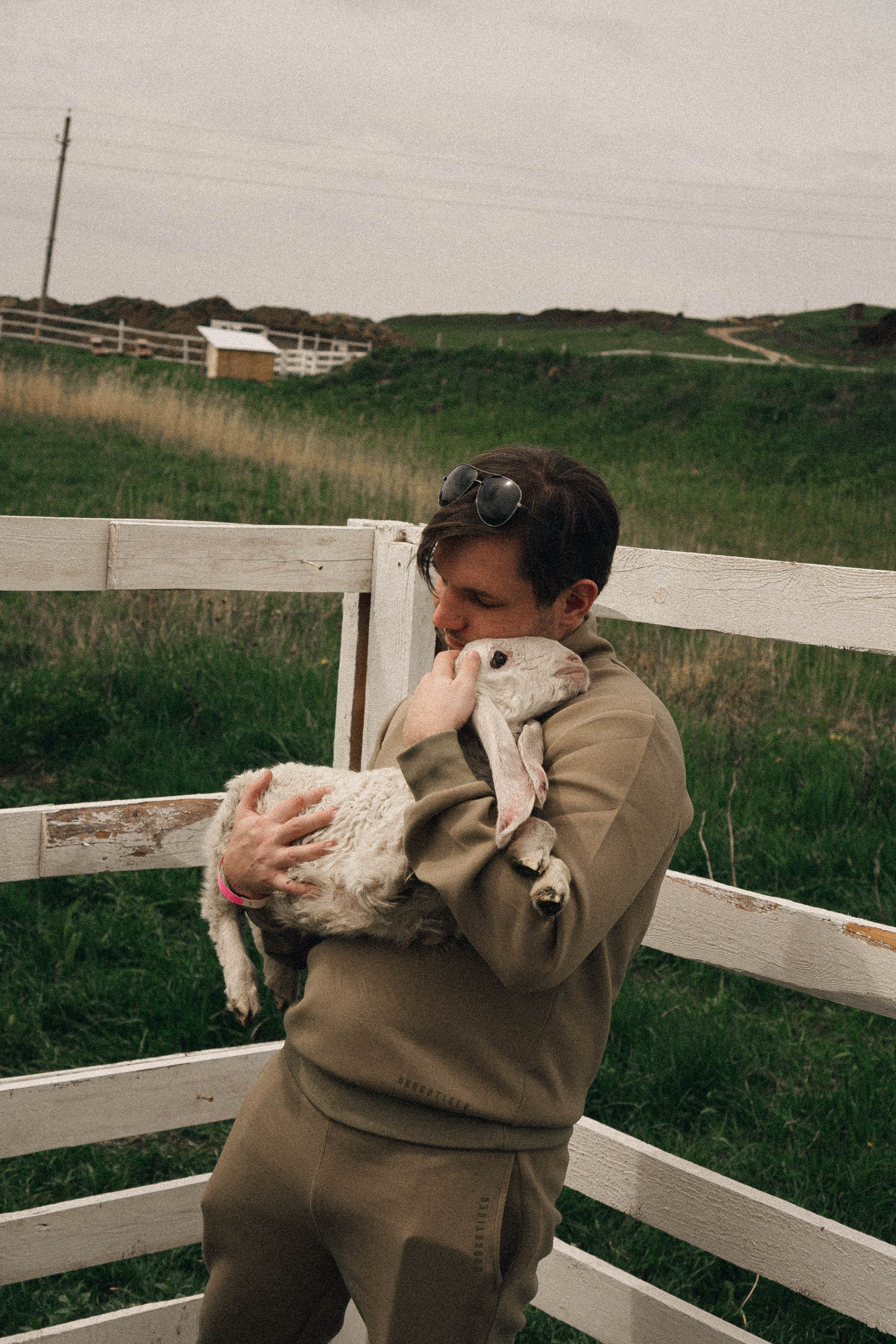 Ферма Альпак. Профессиональный фотограф, Санкт-Петербург — Виктория Богомолова