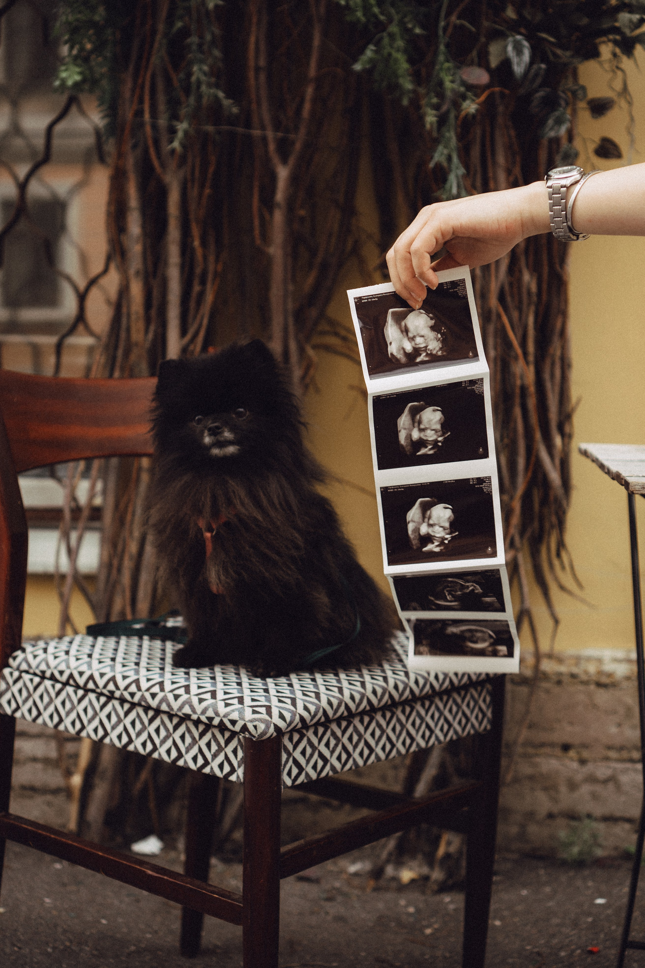 Беременность (только часть фото по желанию клиентов могу показать)). Профессиональный фотограф, Санкт-Петербург — Виктория Богомолова