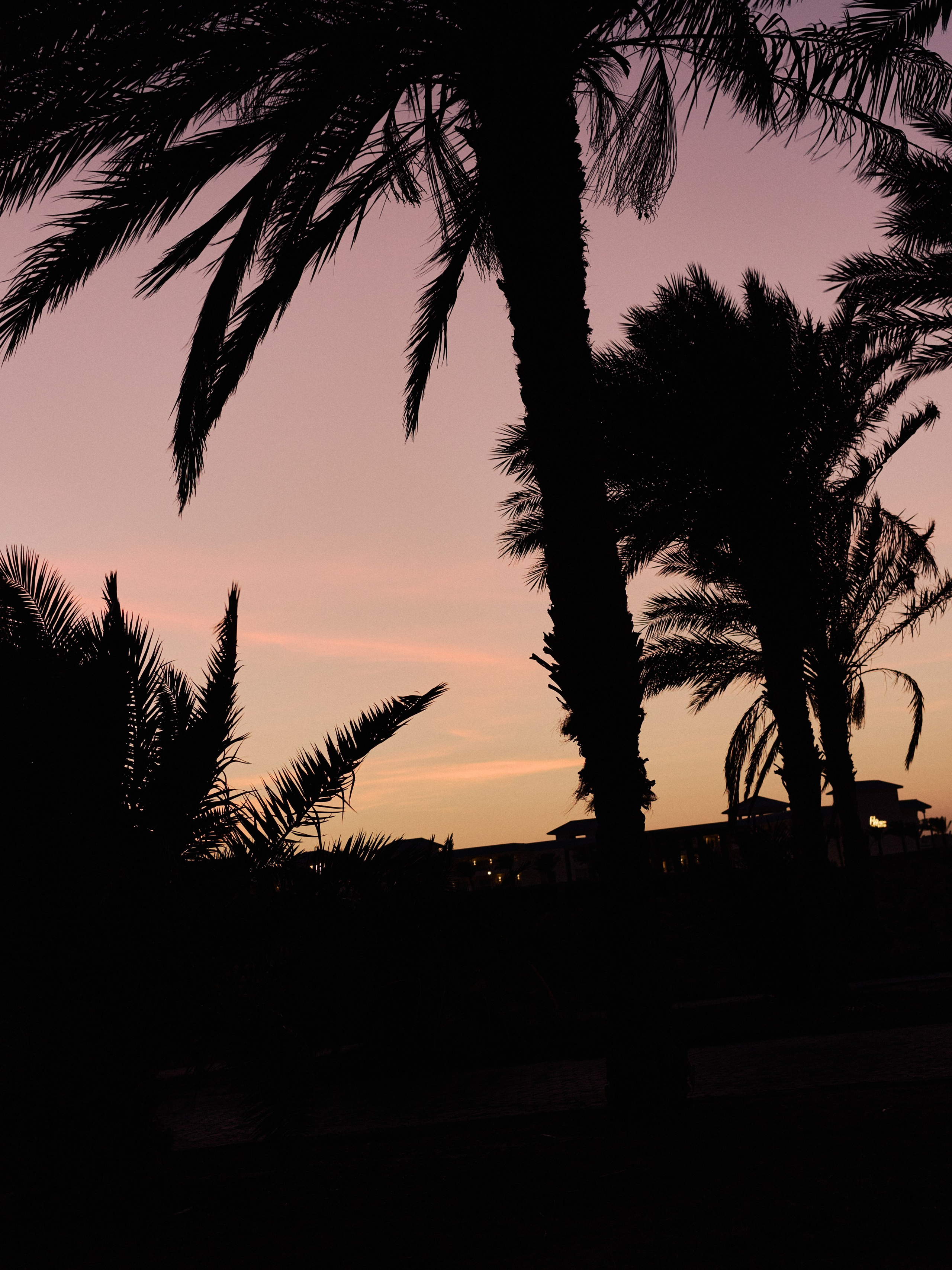 Другое 3. Jorgis Talè — photographer, kind person, teacher of arts and other mag