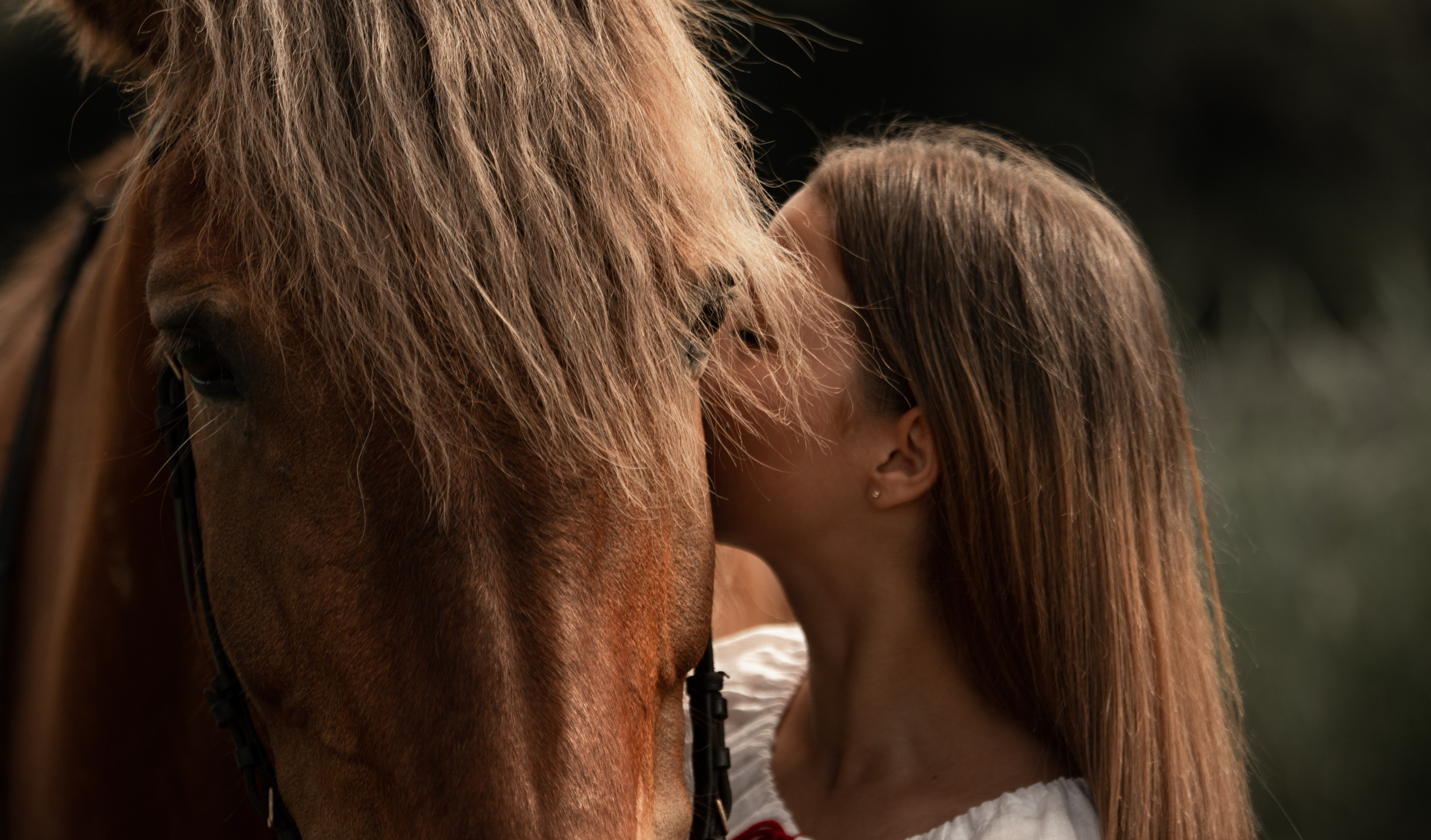 Вероника и Марта. Конный фотограф в Саратове Юлия Иванова