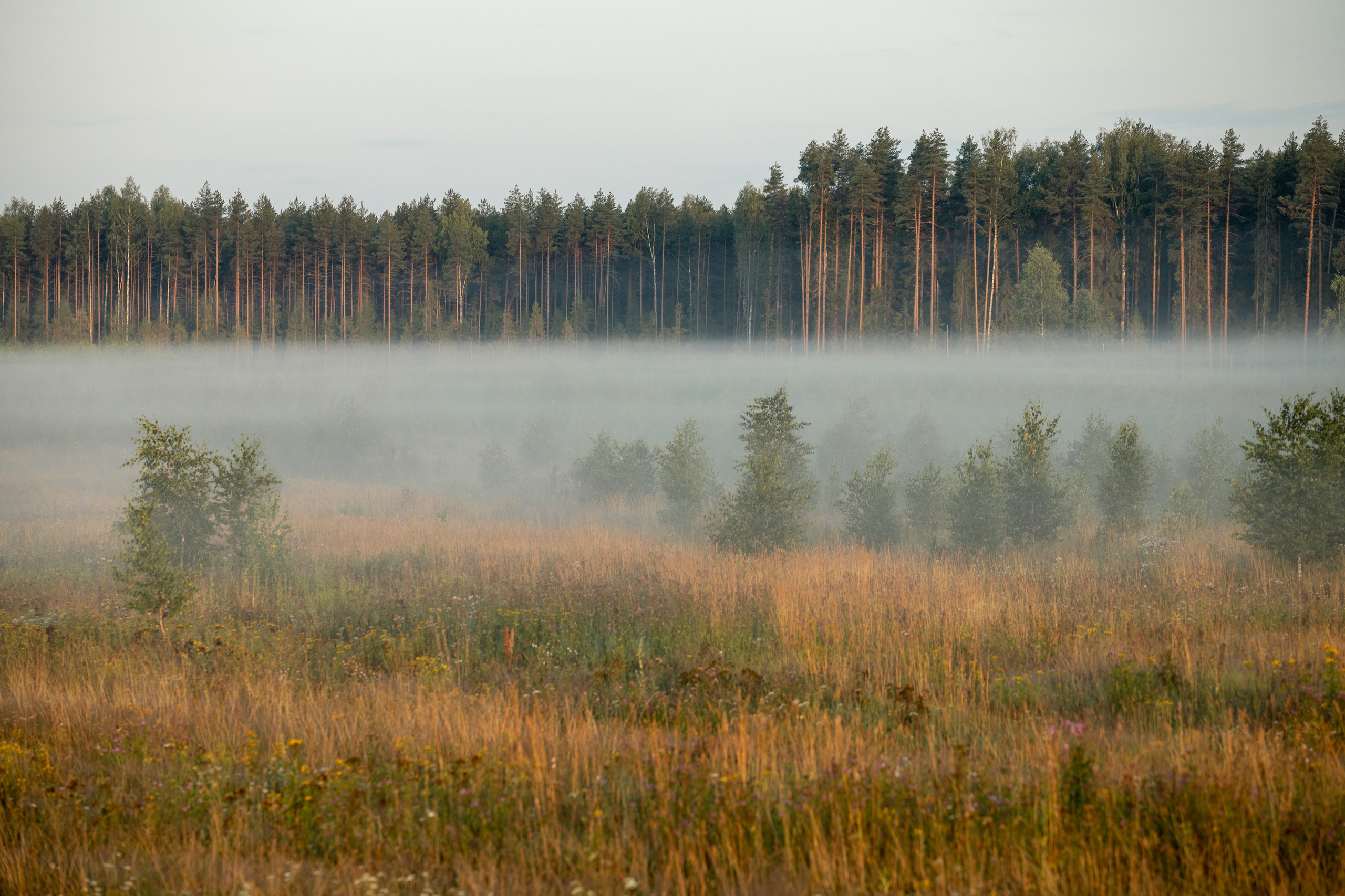 Природные пейзажи. Наталия Клевинскас портретный фотограф в Костроме
