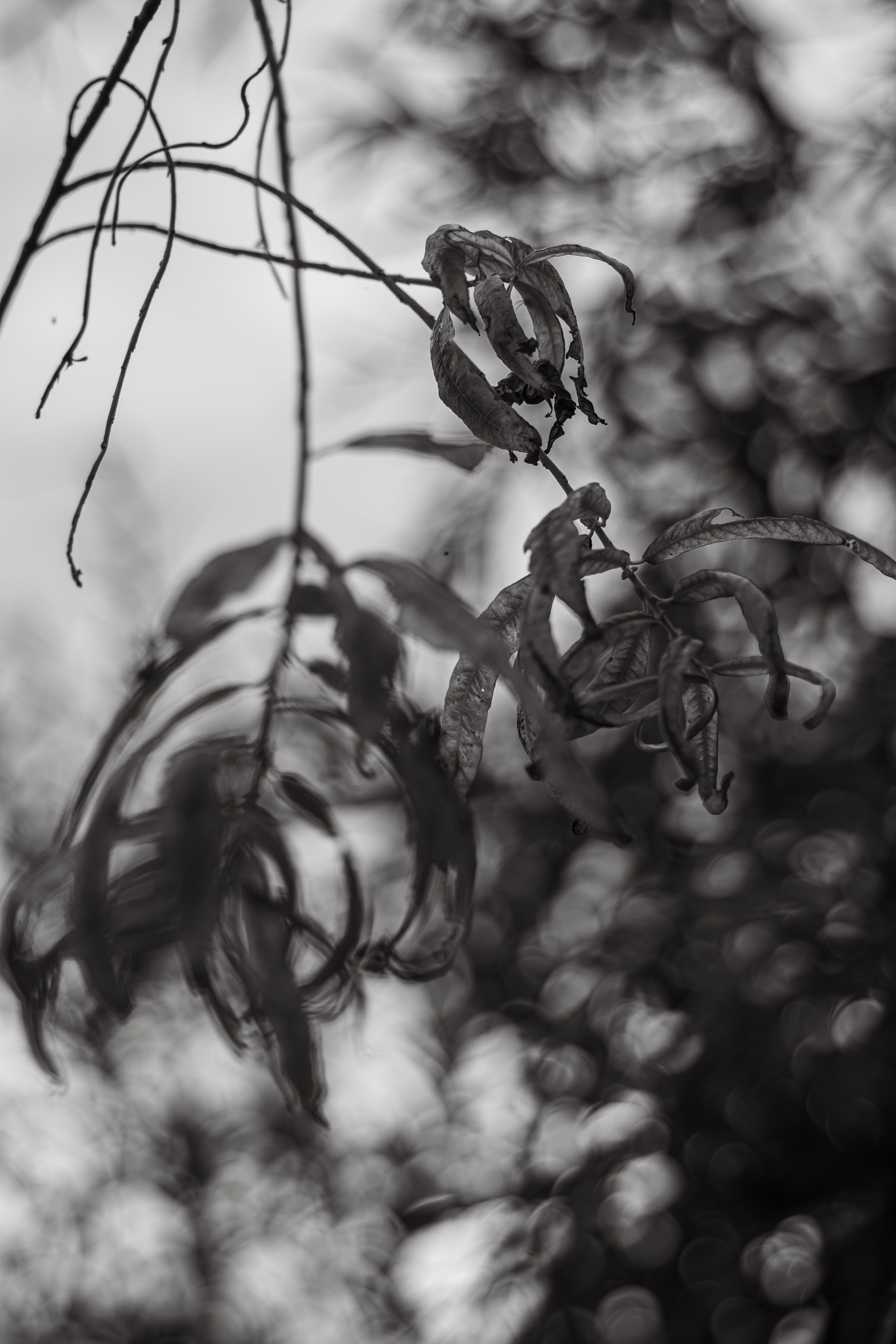 Art. Арт — фотограф Евгений Наймушин Новокузнецк