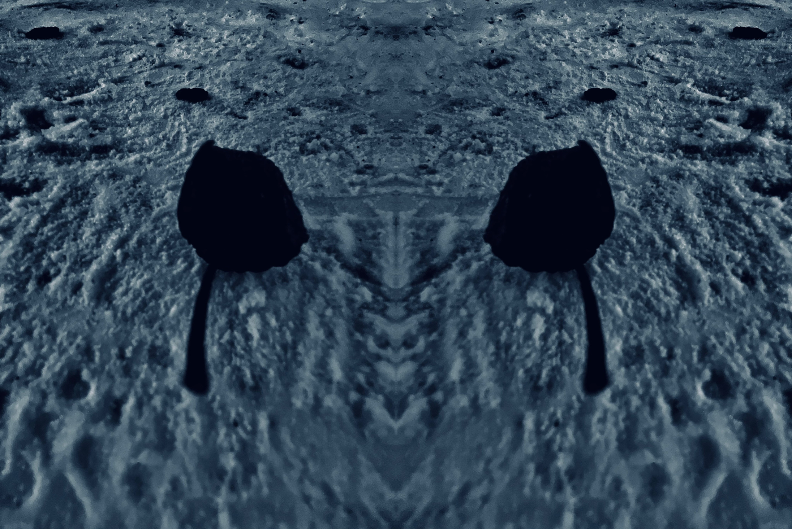 Urban flowers. Арт — фотограф Евгений Наймушин Новокузнецк