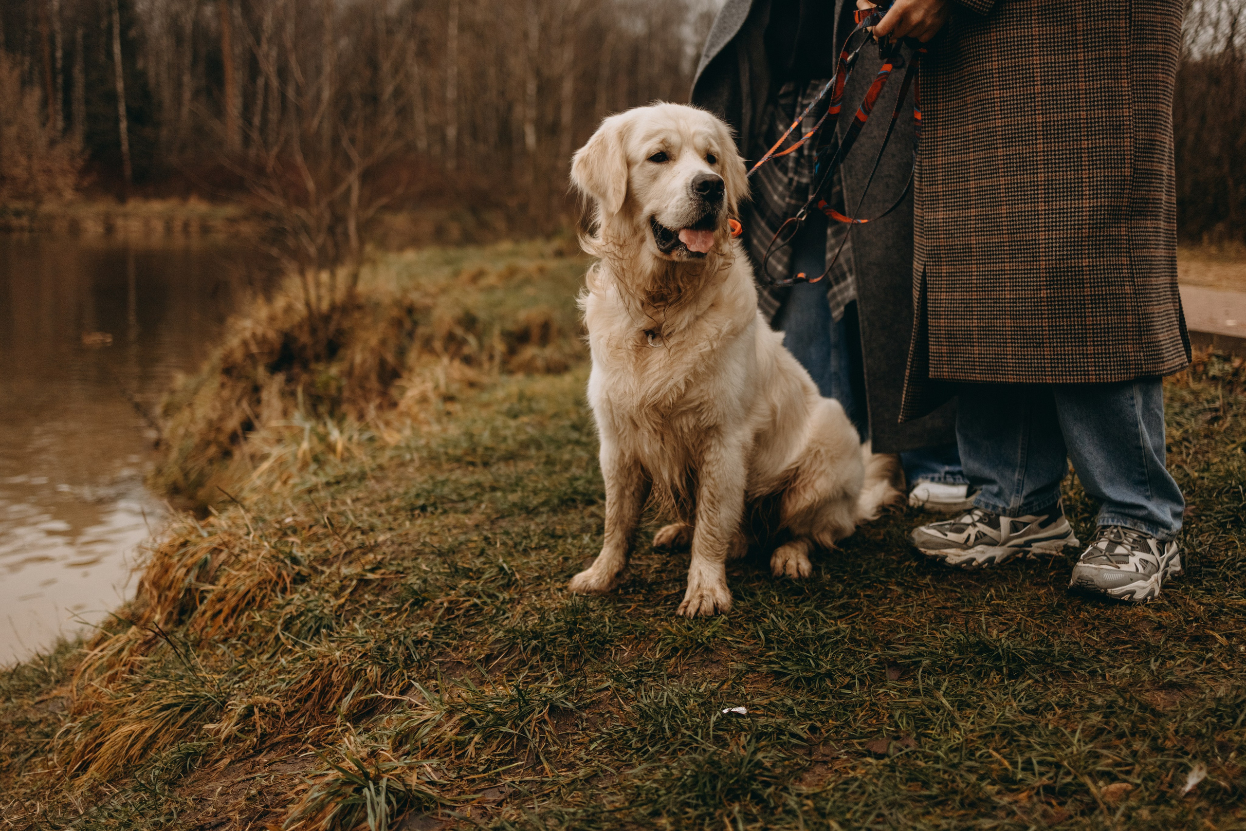 Лаки и его семья. Фотограф — Анималист | Санкт-Петербург