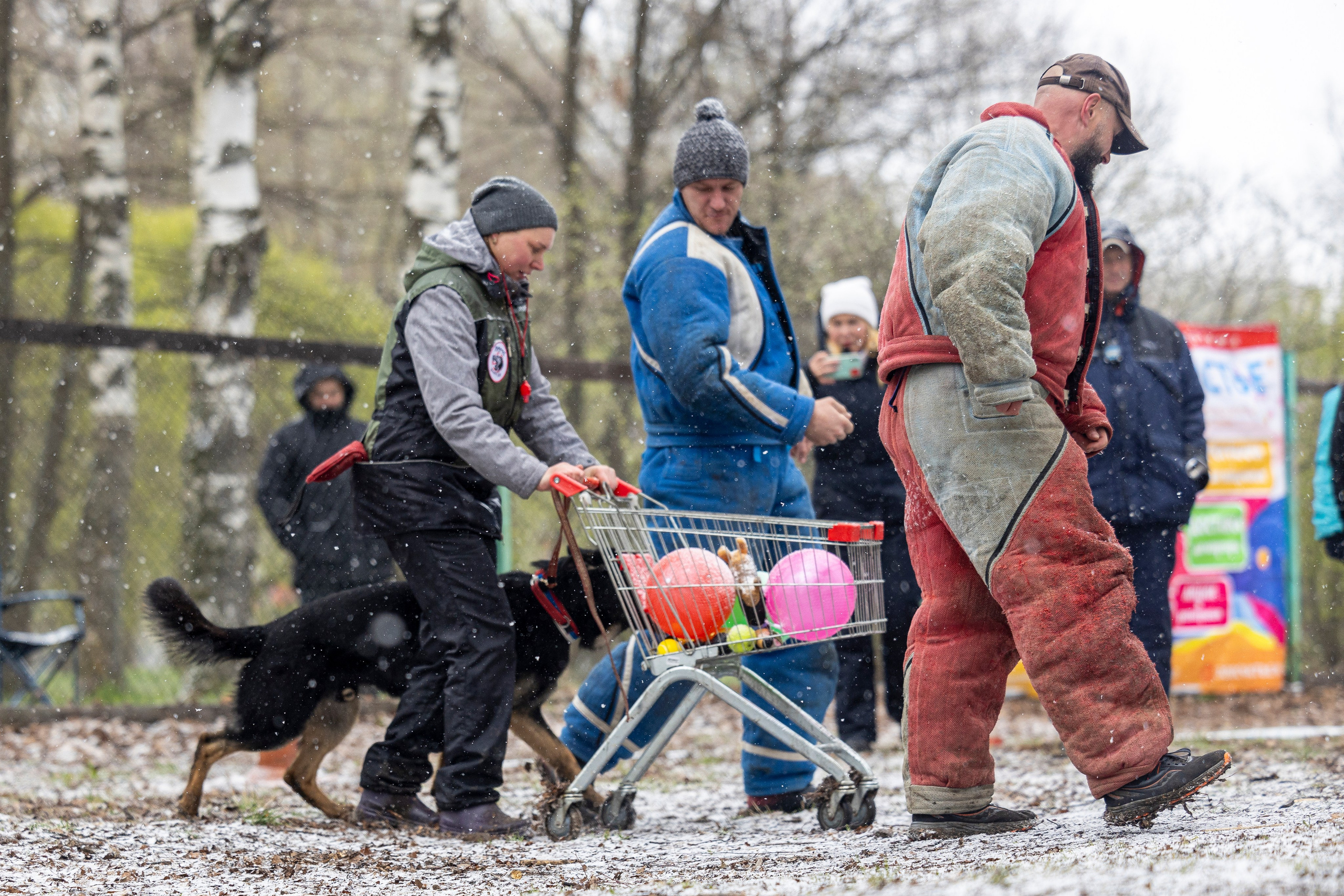 Квалификационные состязания по мондьорингу г. Вологда 11.05.24. Фотограф-анималист Анна Маринич