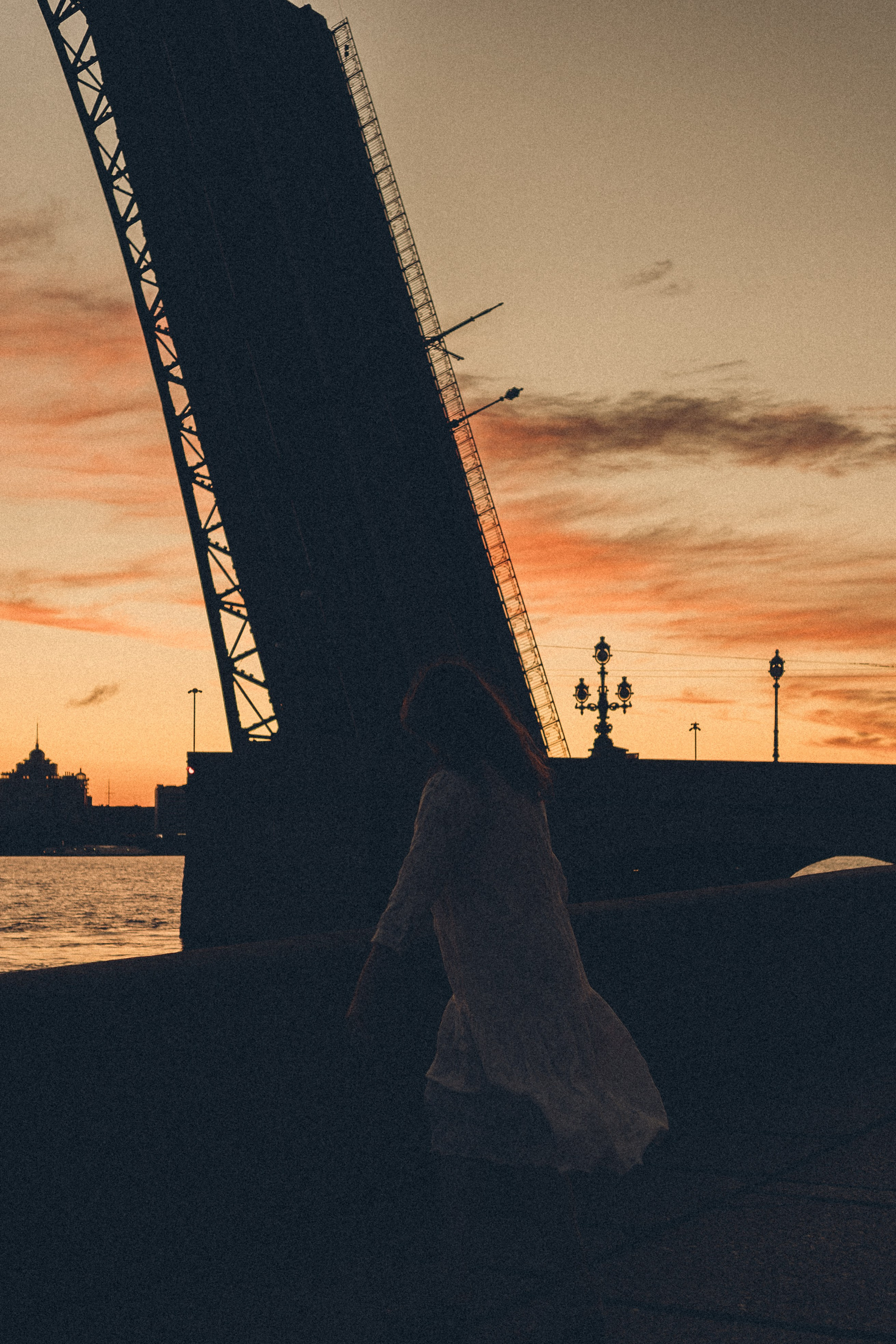 РАССВЕТ С РАЗВОДНЫМИ МОСТАМИ. Профессиональный фотограф, Санкт-Петербург — Виктория Богомолова