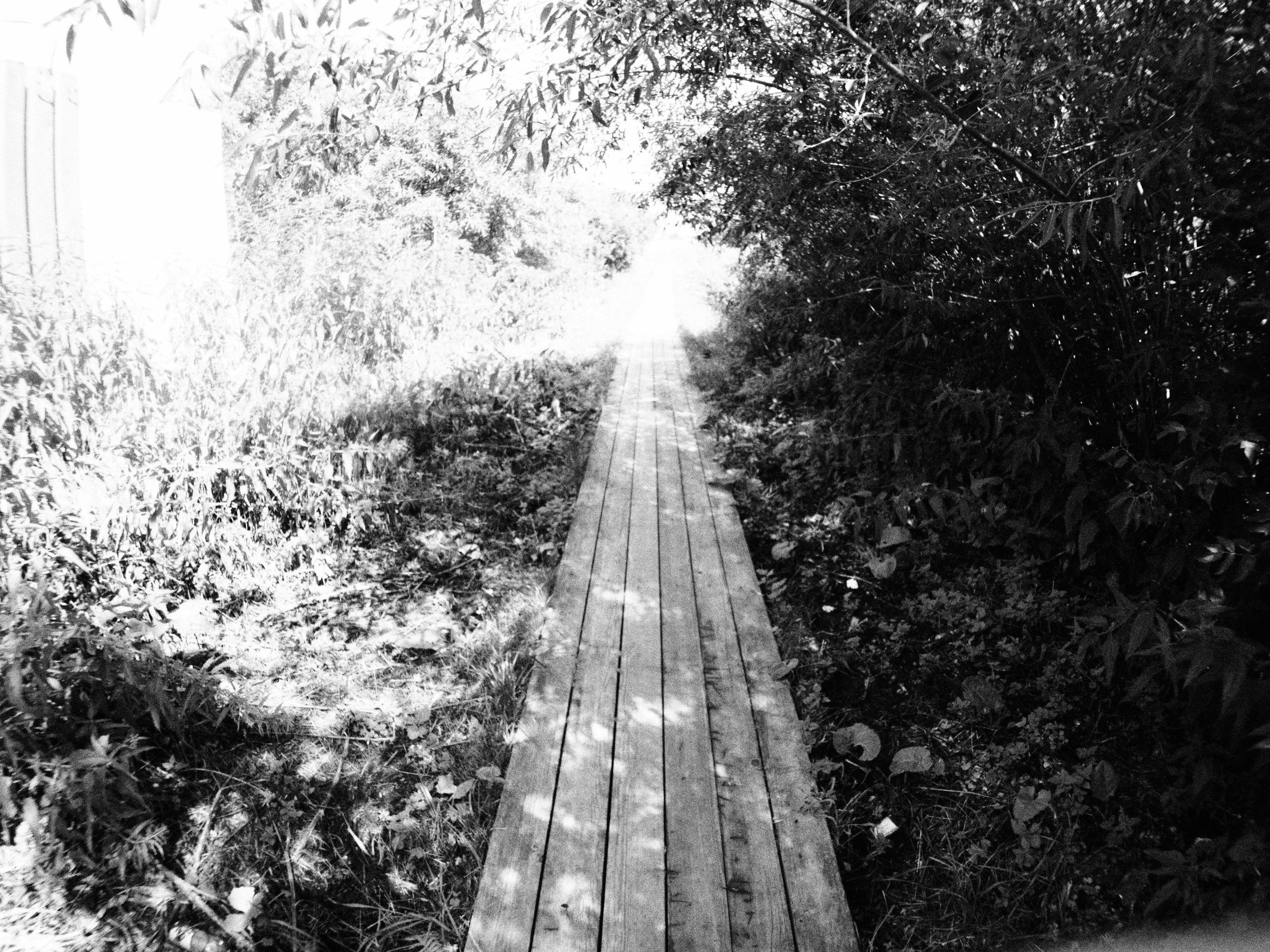 Промежуточные моменты (2023)