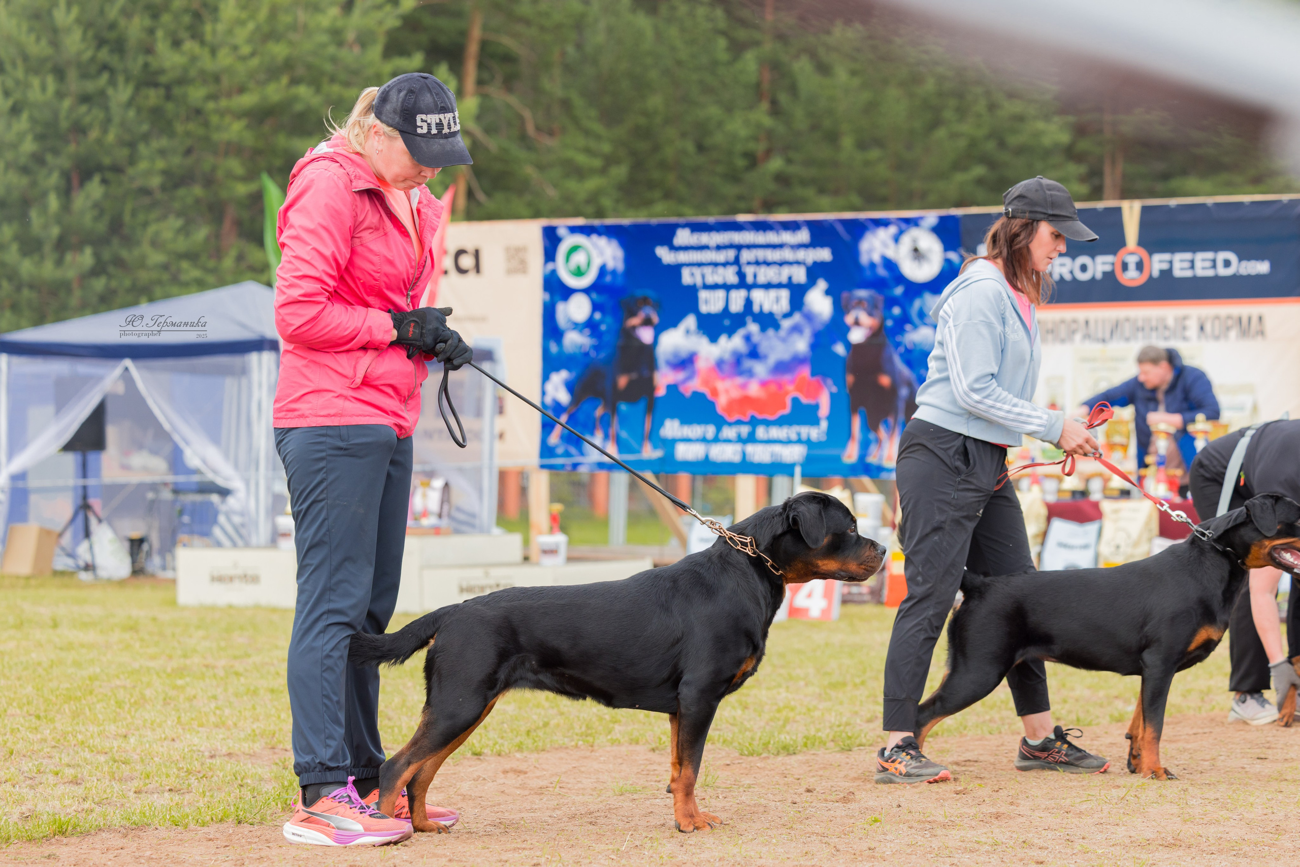 Тверь ротвейлеры 5-6.07.2025. Фотограф-анималист Юлия Германика