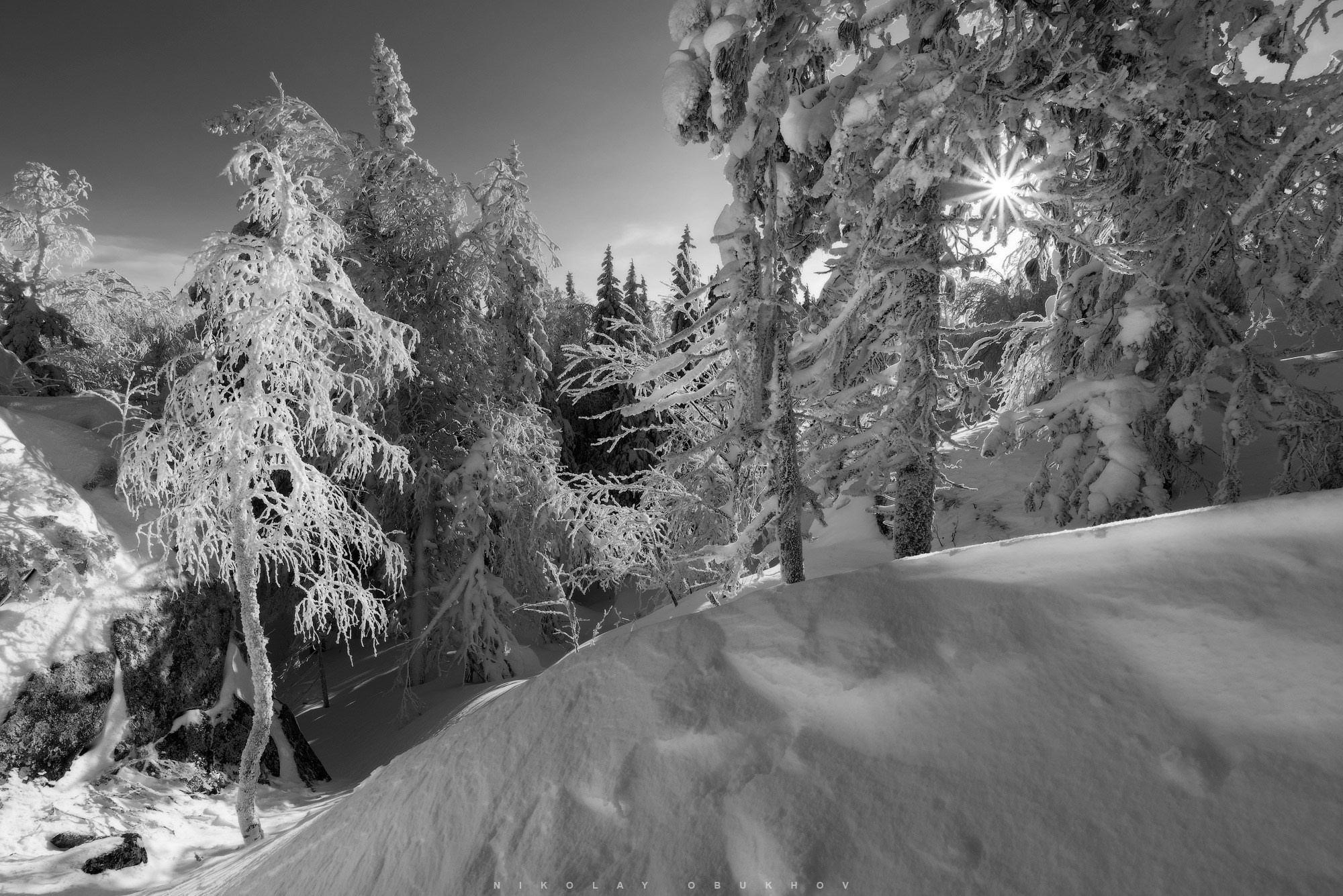 Гора Белая и зимний лес деревья в снегу под ярким небом.