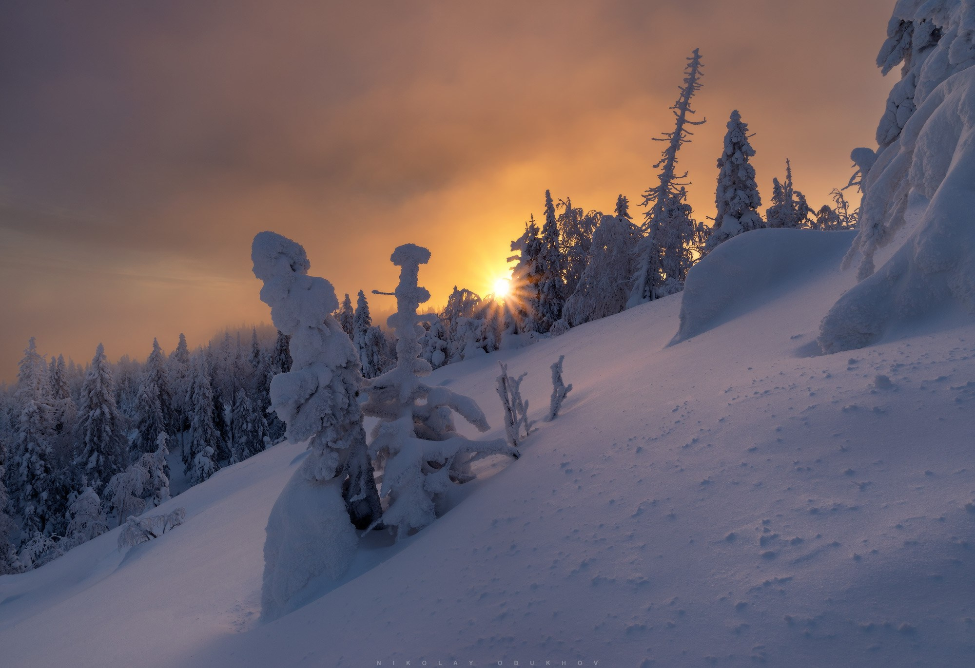 Зимний рассвет в заснеженном лесу на горе Белая. Лучи солнца просвечивают сквозь деревья на склоне горы