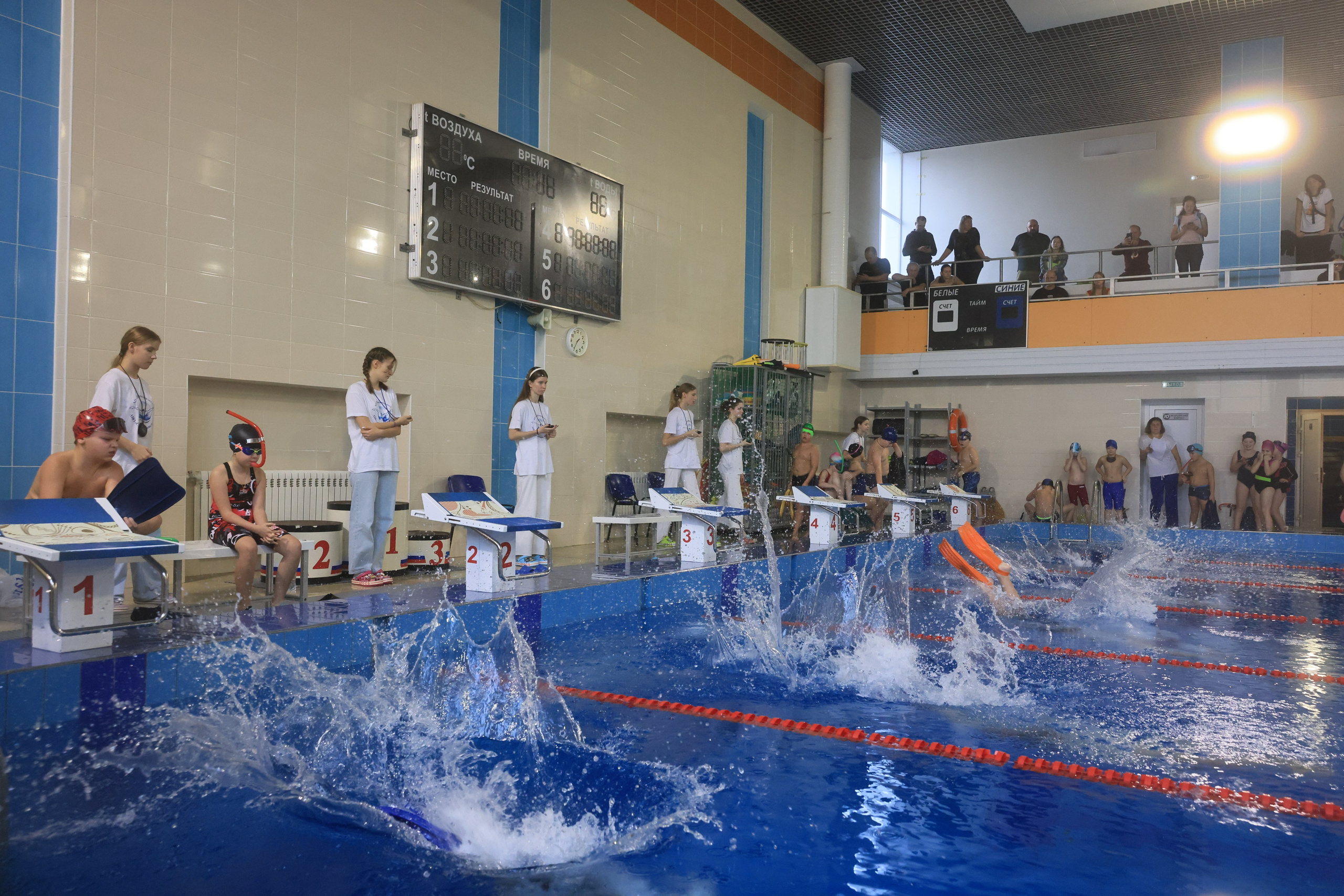 Плавание в ластах (разные годы, более 10 репортажей выборка пополняемая). Фотограф в Туле Крупский АнДРей. Фотостудия «КАДР71» в Туле