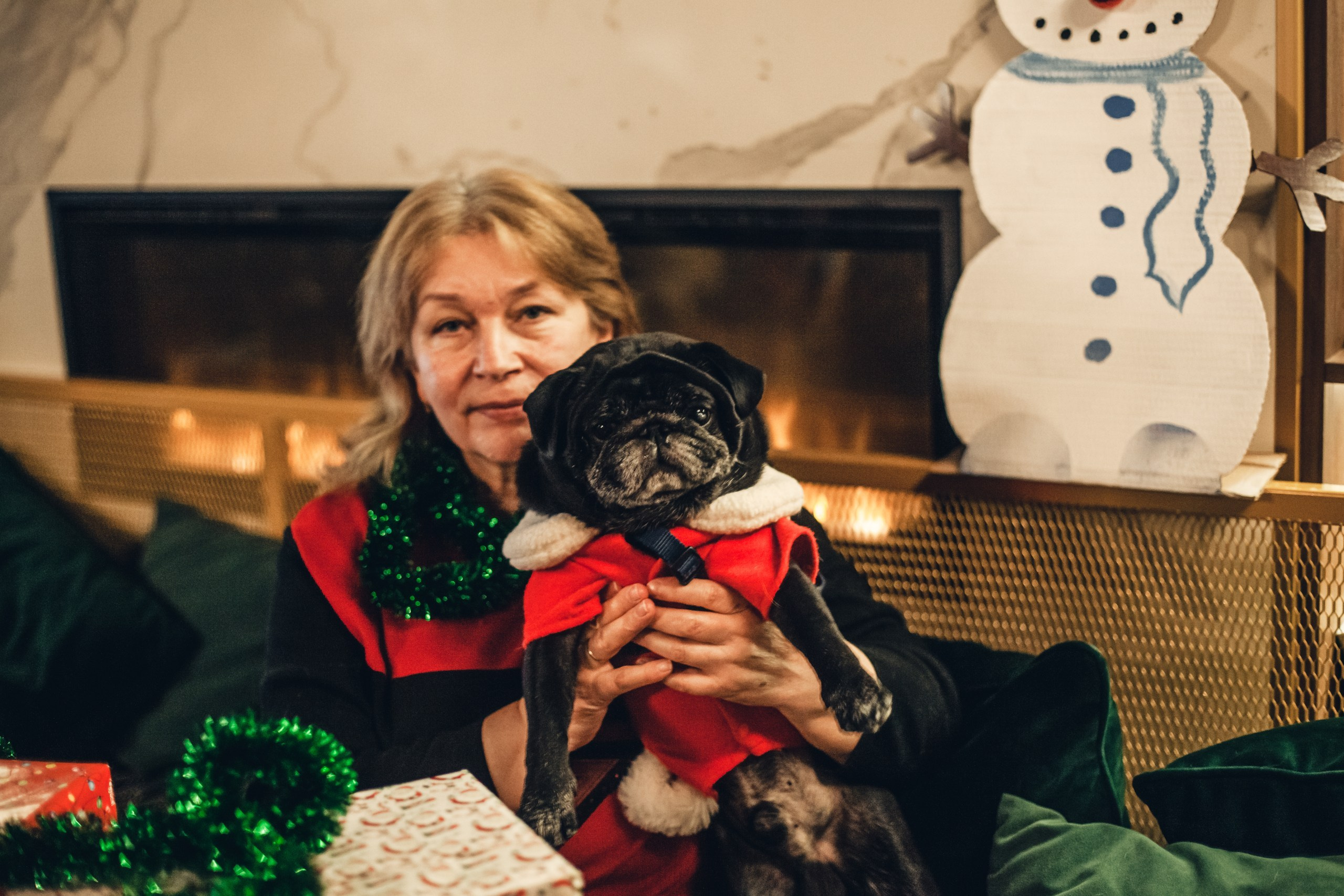 Мопсовстреча 02.12.2023. Фотограф-анималист Татьяна Степанова