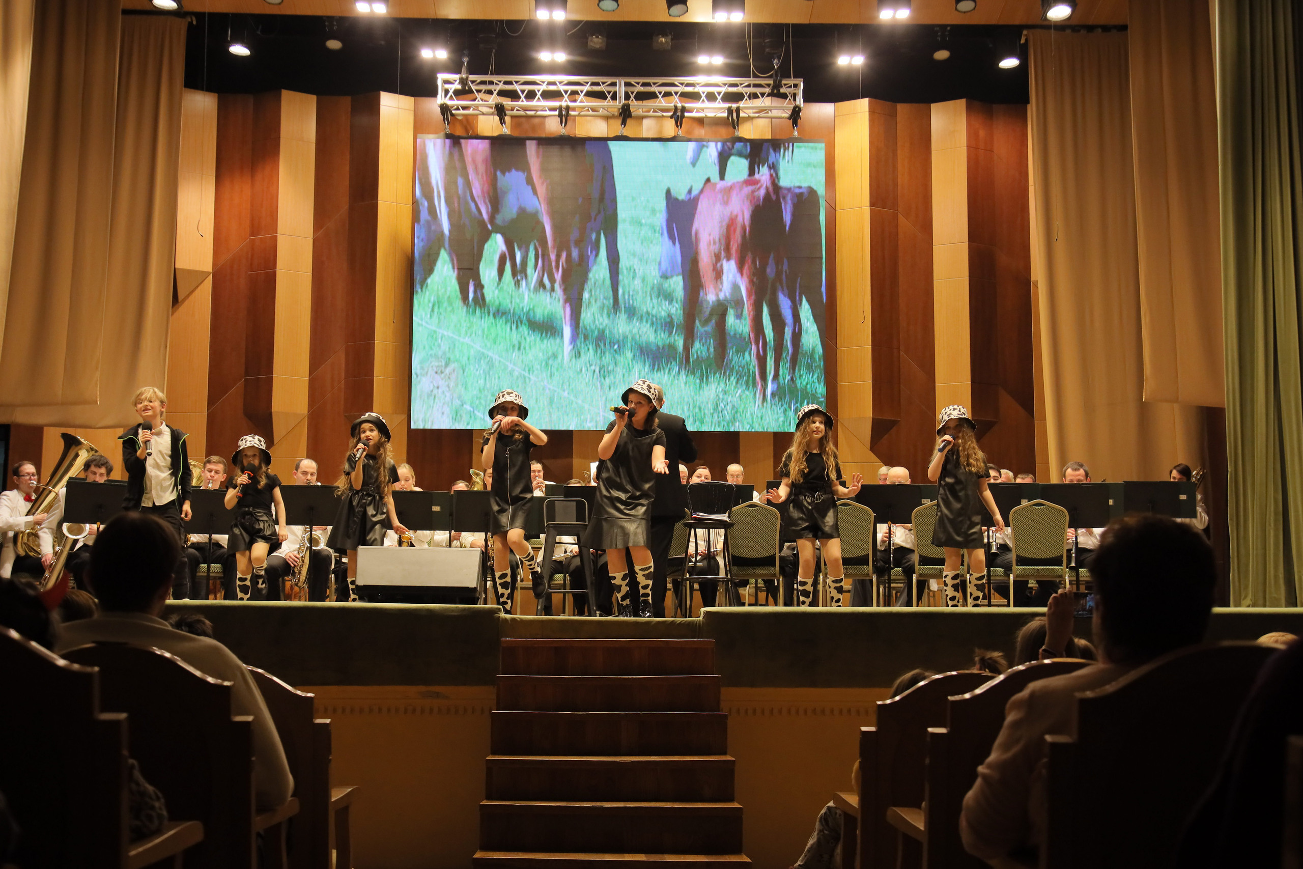 Отчётный концерт в филармонии. Фотограф, видеограф