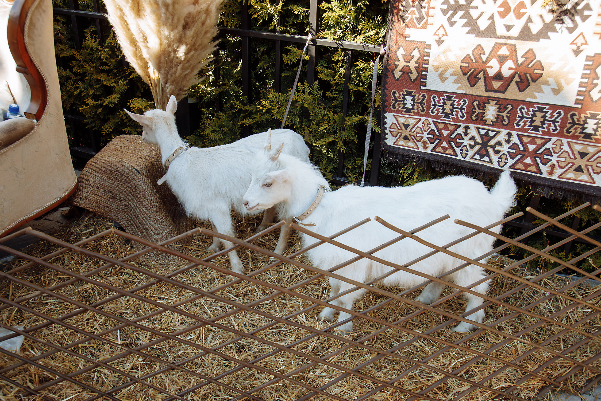 Работа декоратора. Фотограф, видеограф