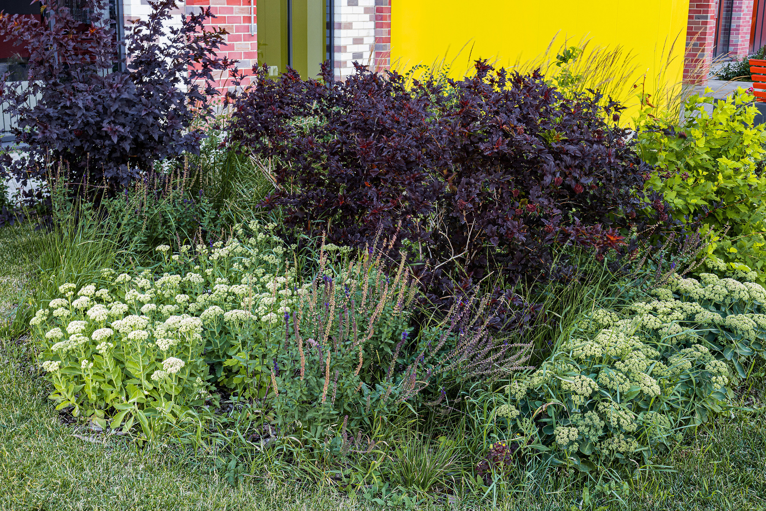 ЖК 5 Столиц, ландшафтный дизайн. Фотограф, видеограф