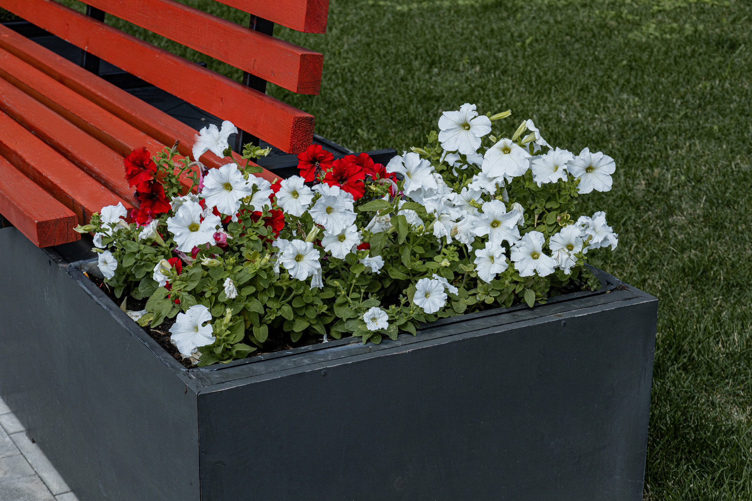 ЖК 5 Столиц, ландшафтный дизайн. Фотограф, видеограф