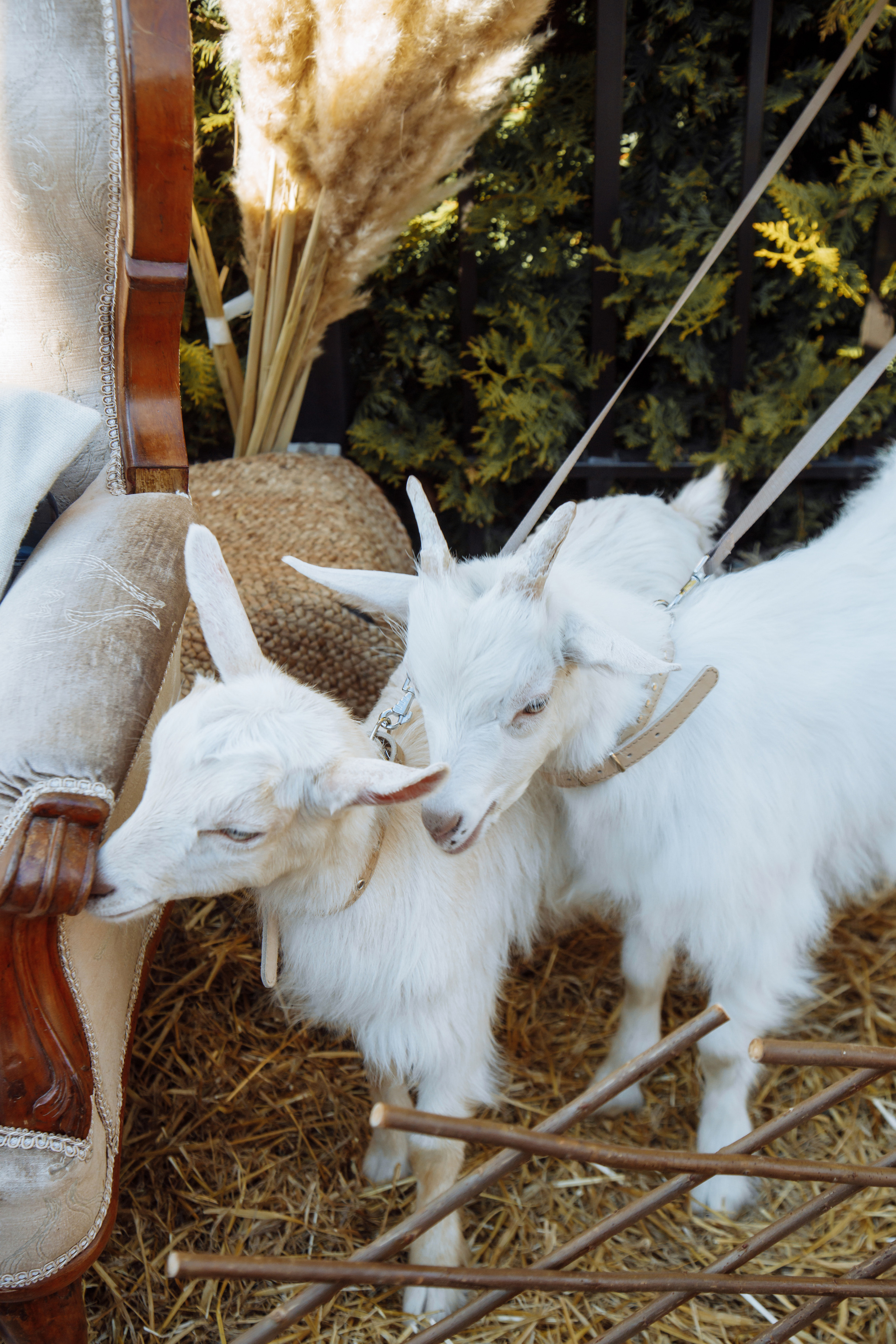 Работа декоратора. Фотограф, видеограф