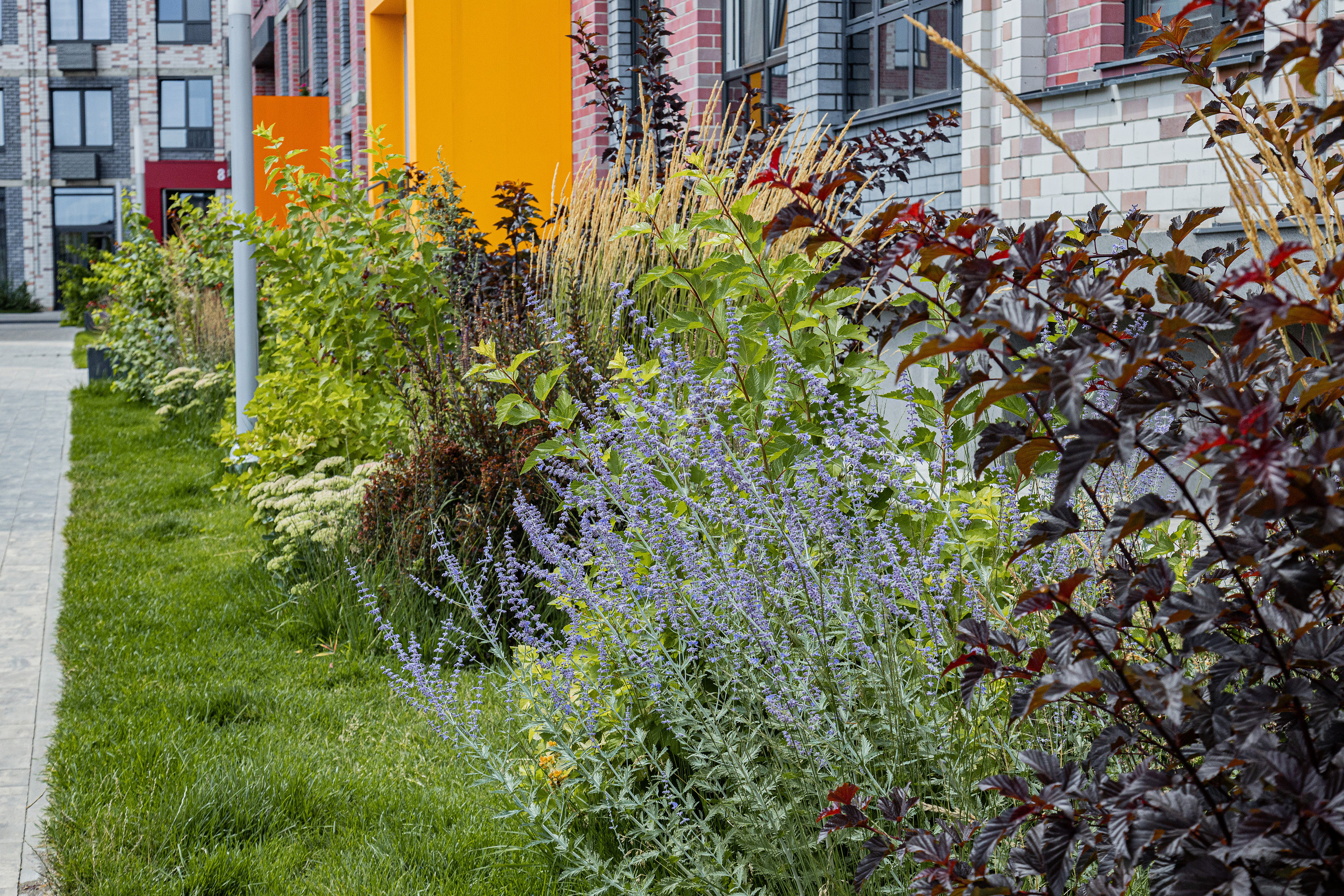 ЖК 5 Столиц, ландшафтный дизайн. Фотограф, видеограф