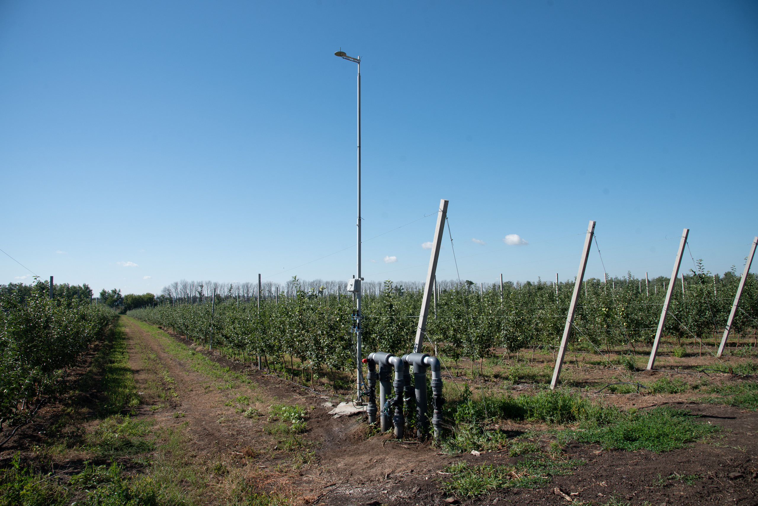 ОстрогожскСадПитомник. Фотограф, видеограф