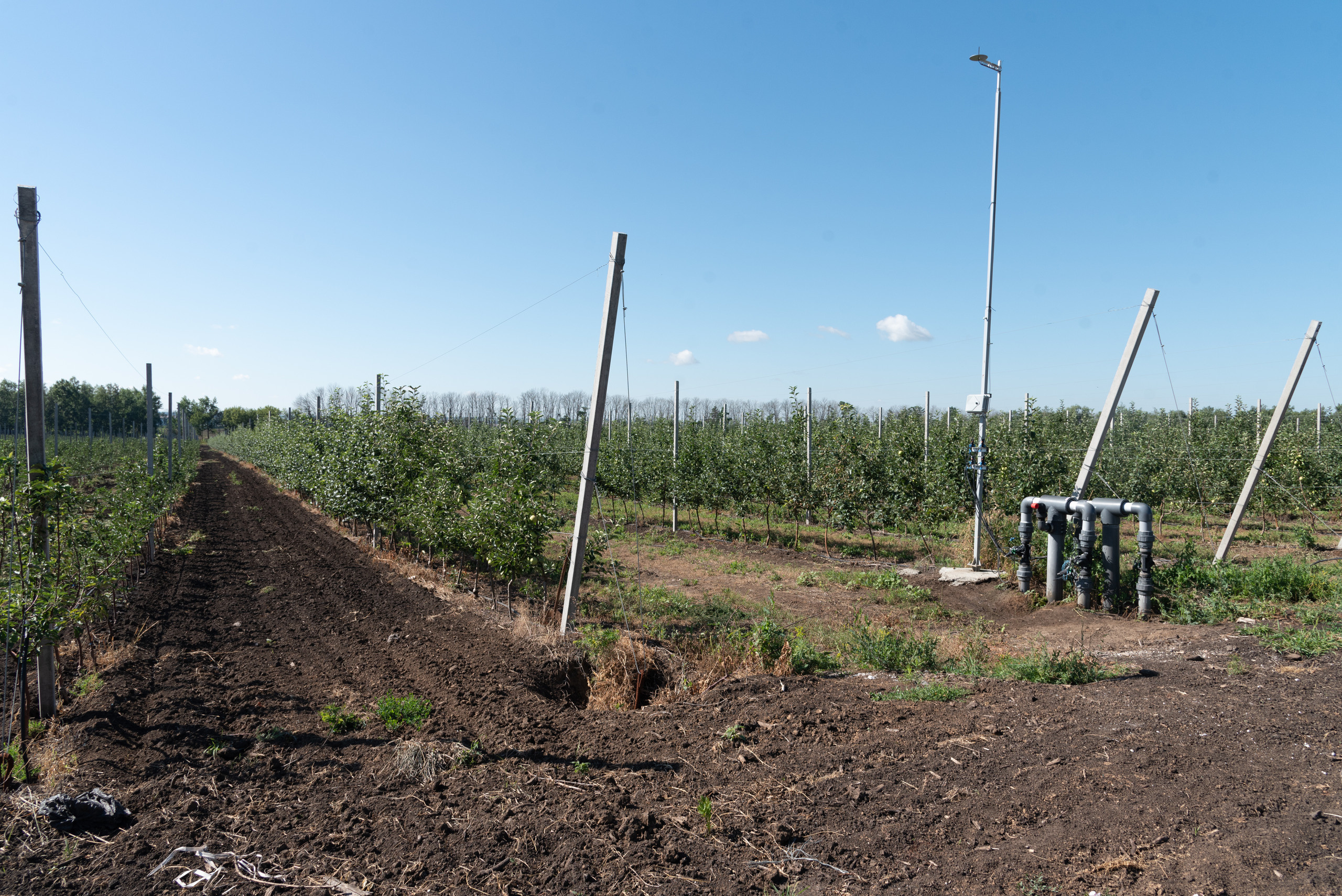 ОстрогожскСадПитомник. Фотограф, видеограф