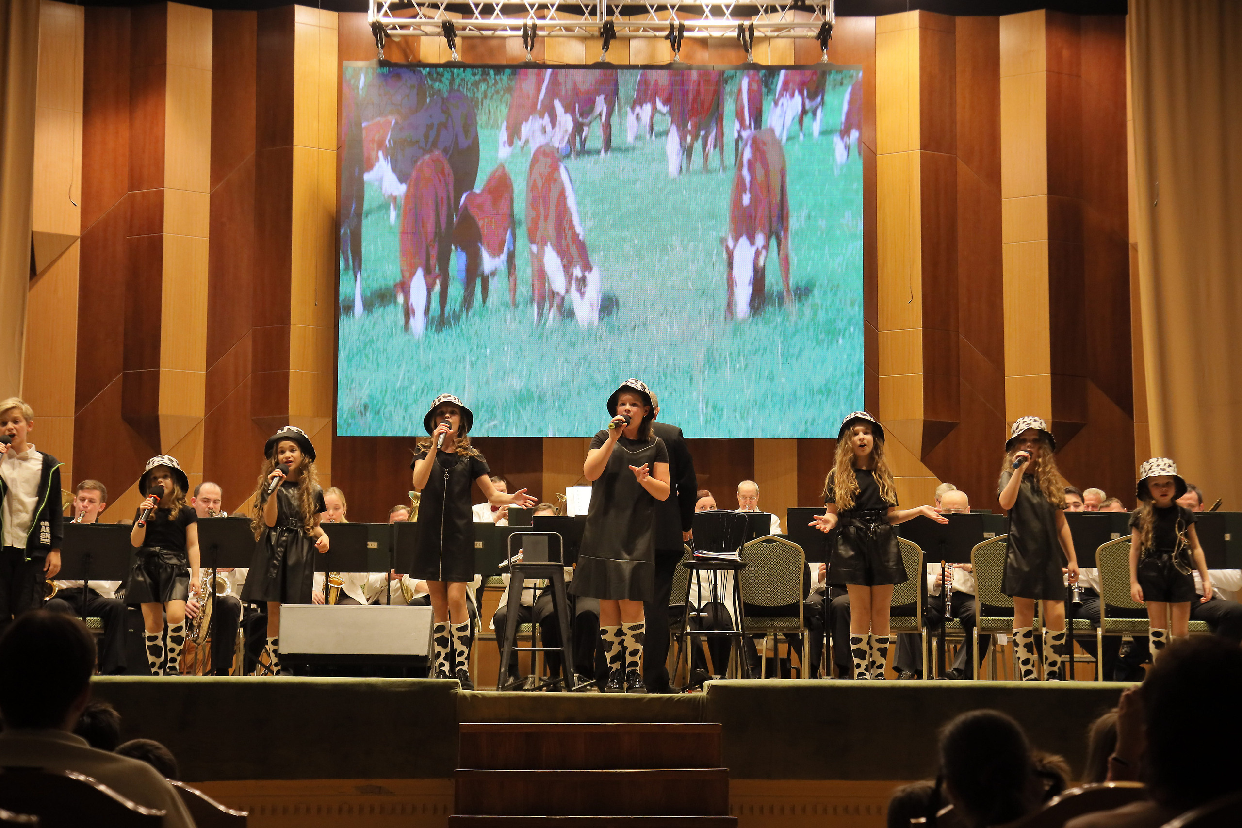 Отчётный концерт в филармонии. Фотограф, видеограф