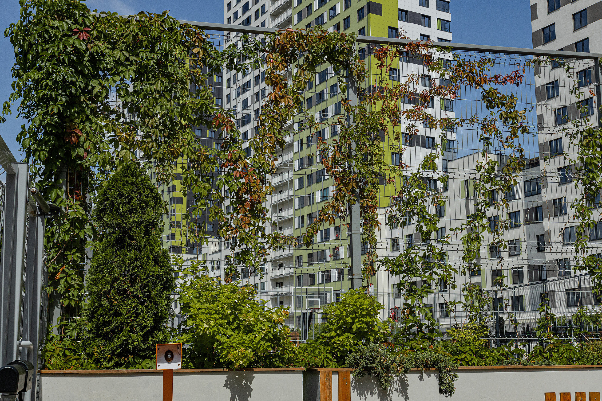 ЖК 5 Столиц, ландшафтный дизайн. Фотограф, видеограф