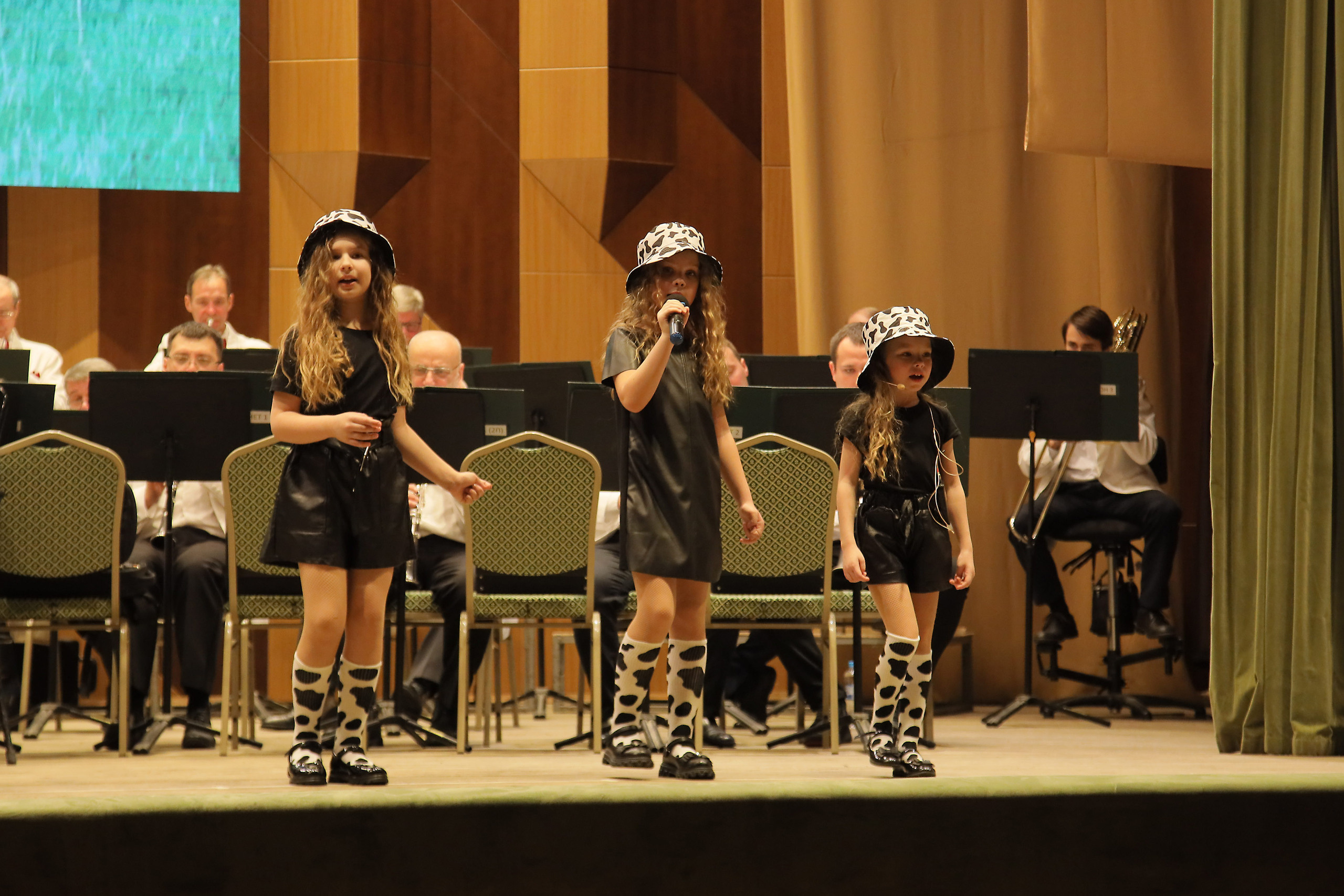 Отчётный концерт в филармонии. Фотограф, видеограф