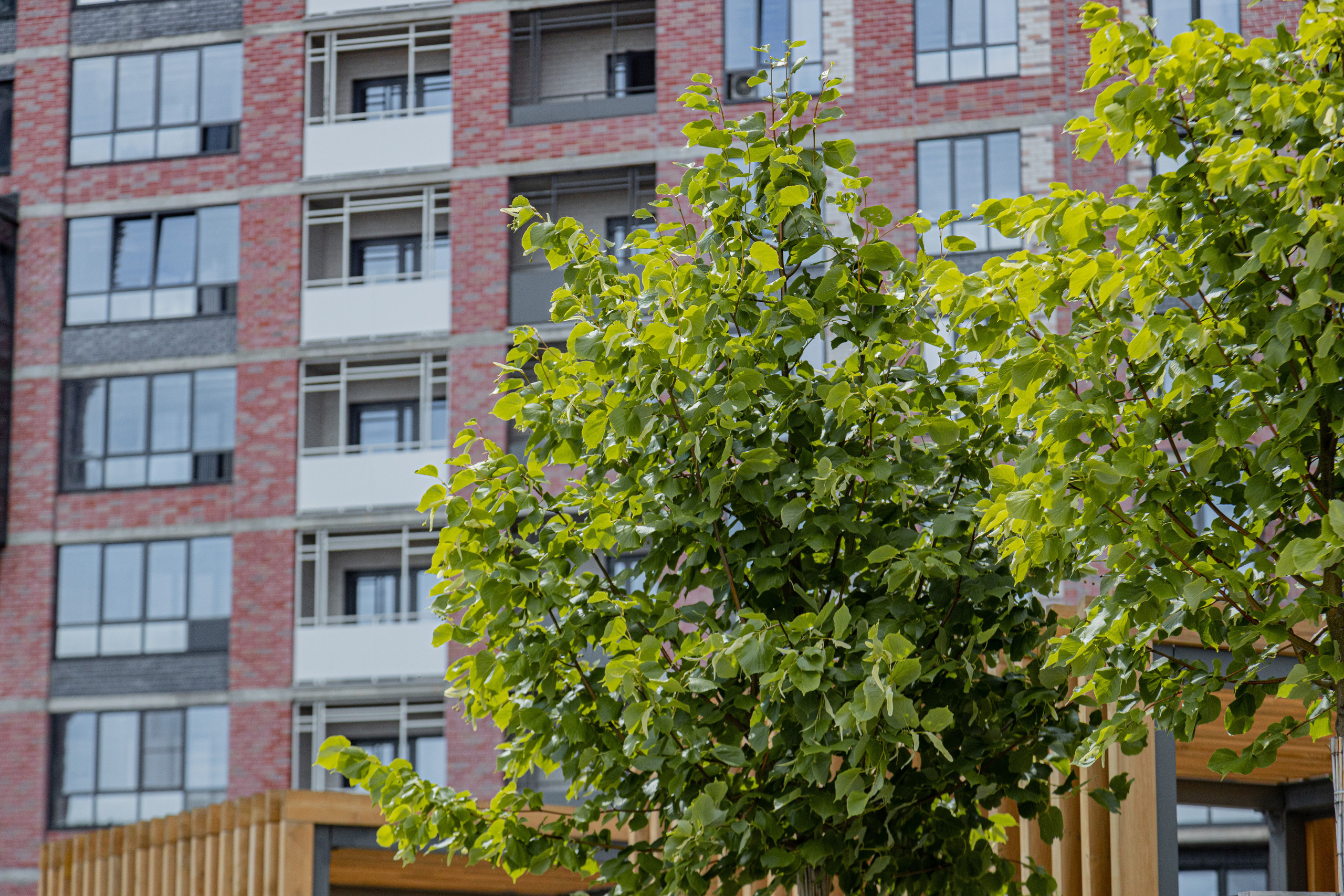 ЖК 5 Столиц, ландшафтный дизайн. Фотограф, видеограф