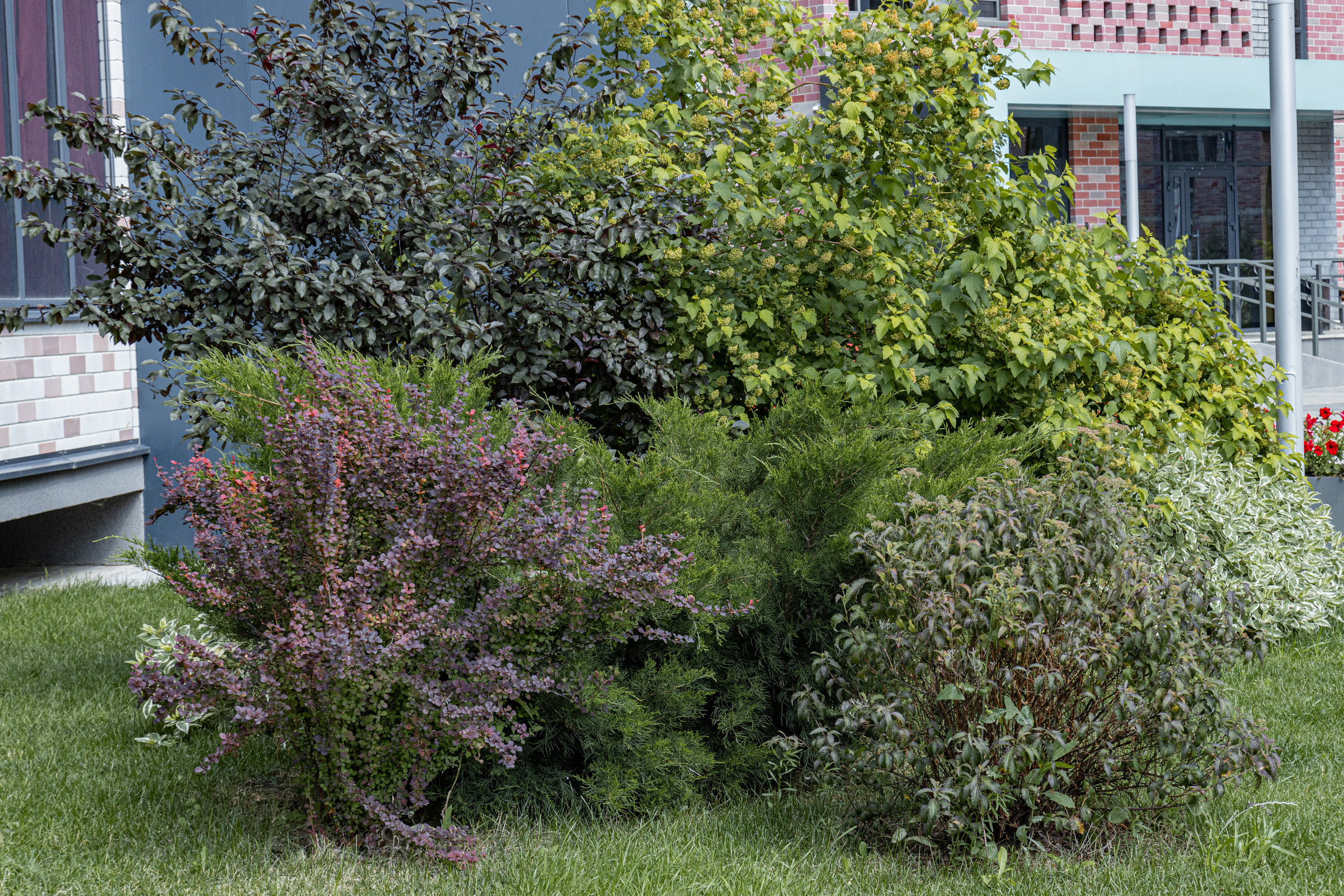 ЖК 5 Столиц, ландшафтный дизайн. Фотограф, видеограф