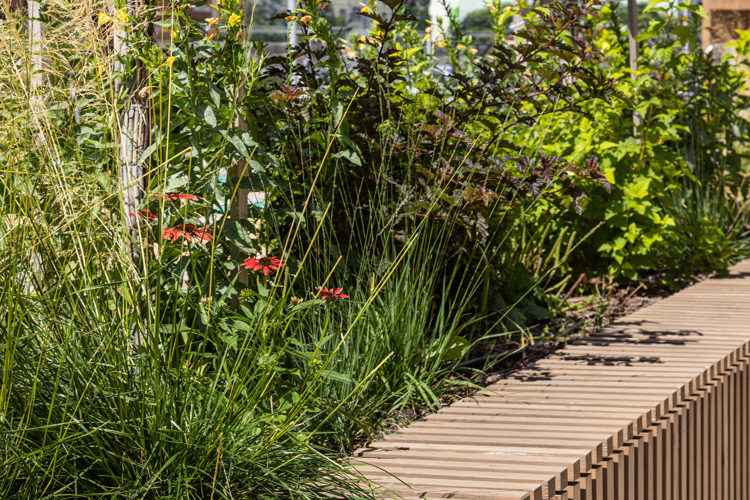 ЖК 5 Столиц, ландшафтный дизайн. Фотограф, видеограф