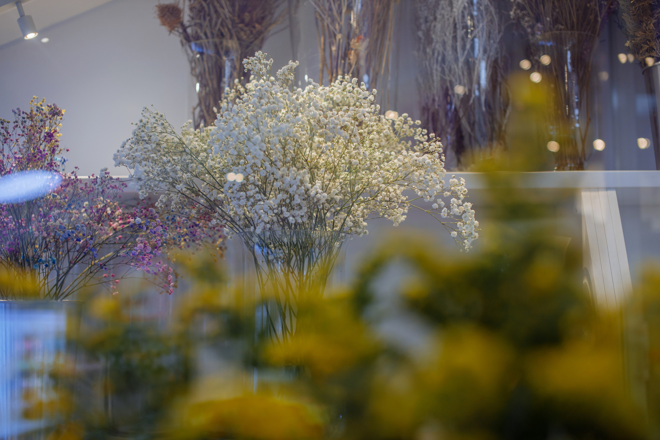 Цветочный магазин «Шамса». Фотограф, видеограф