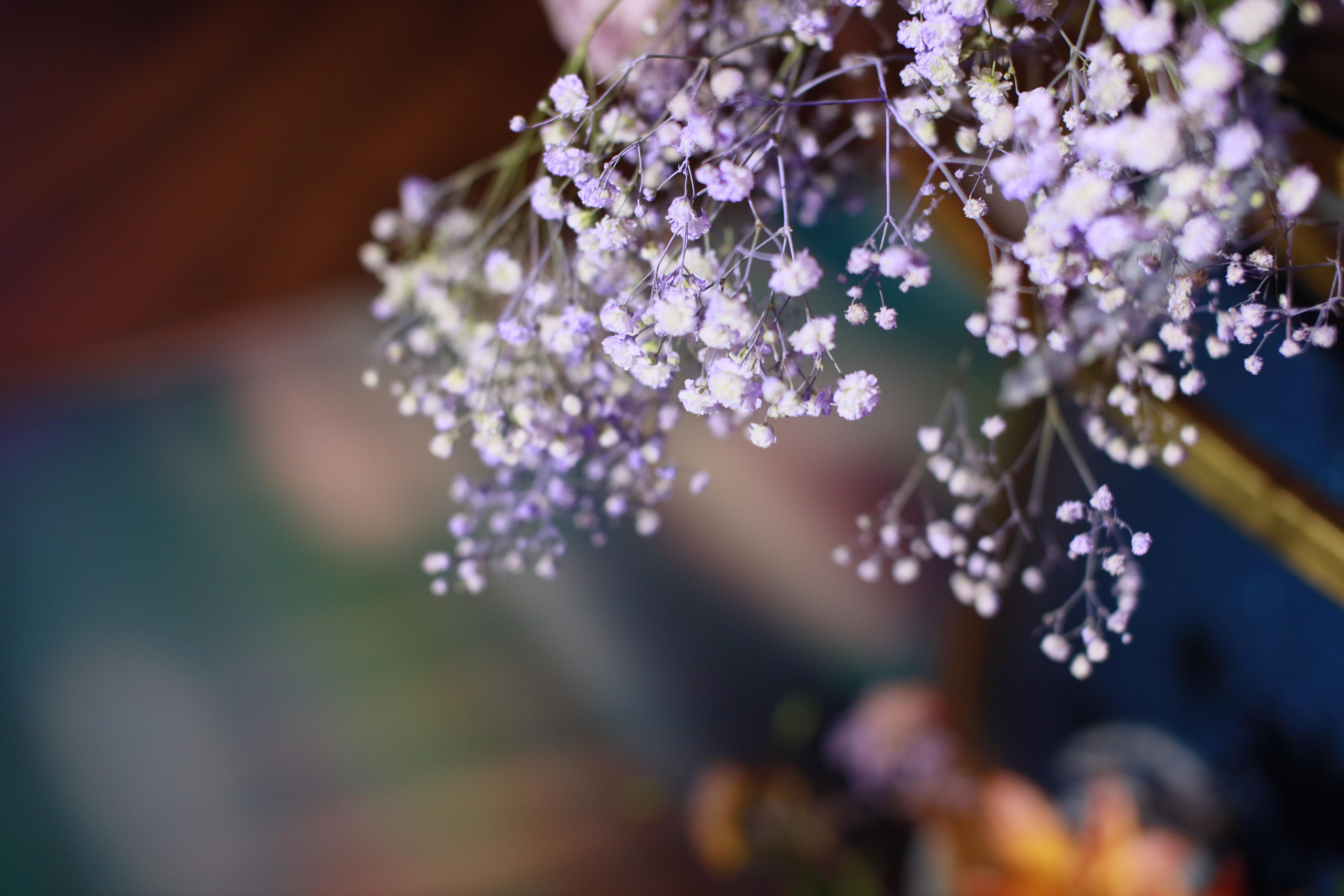 Работа декоратора Юлии Ясаковой. Фотограф, видеограф