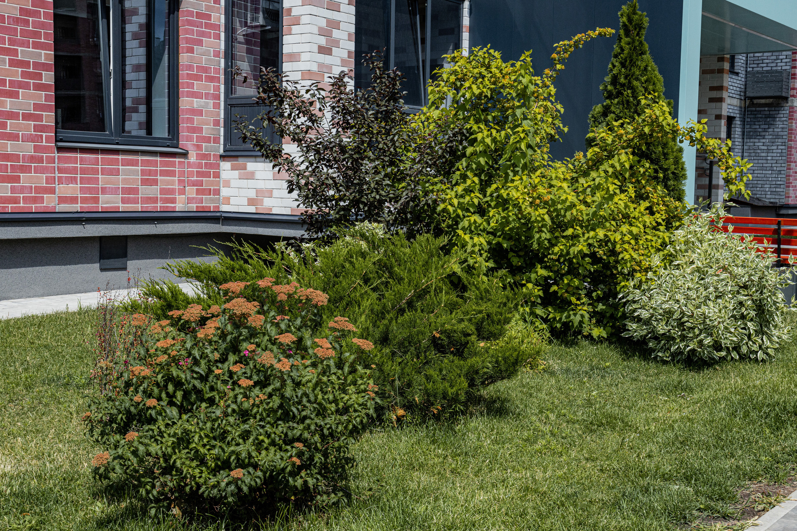 ЖК 5 Столиц, ландшафтный дизайн. Фотограф, видеограф