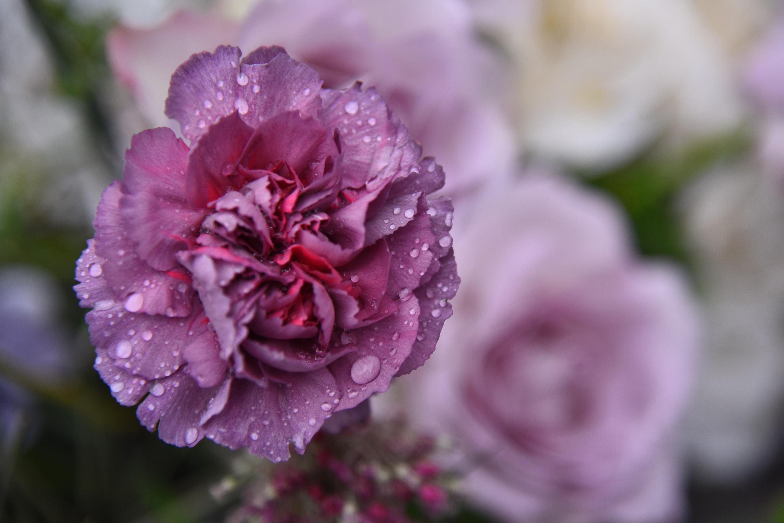 Работа декоратора Юлии Ясаковой. Фотограф, видеограф