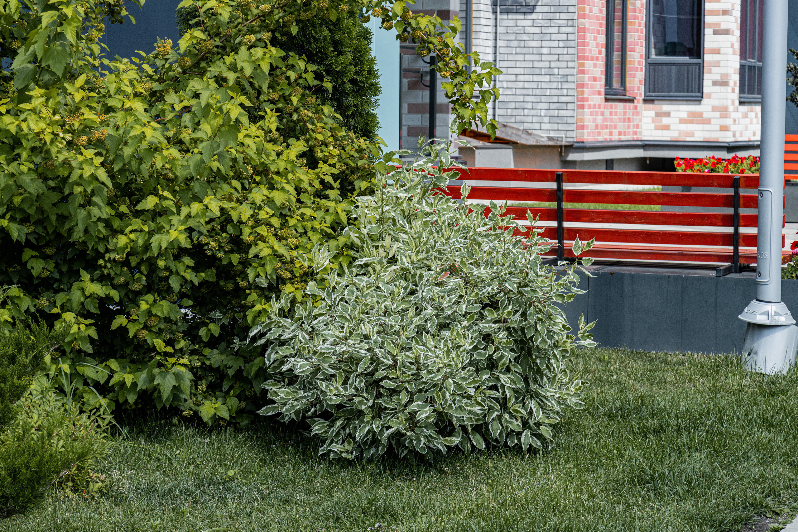 ЖК 5 Столиц, ландшафтный дизайн. Фотограф, видеограф