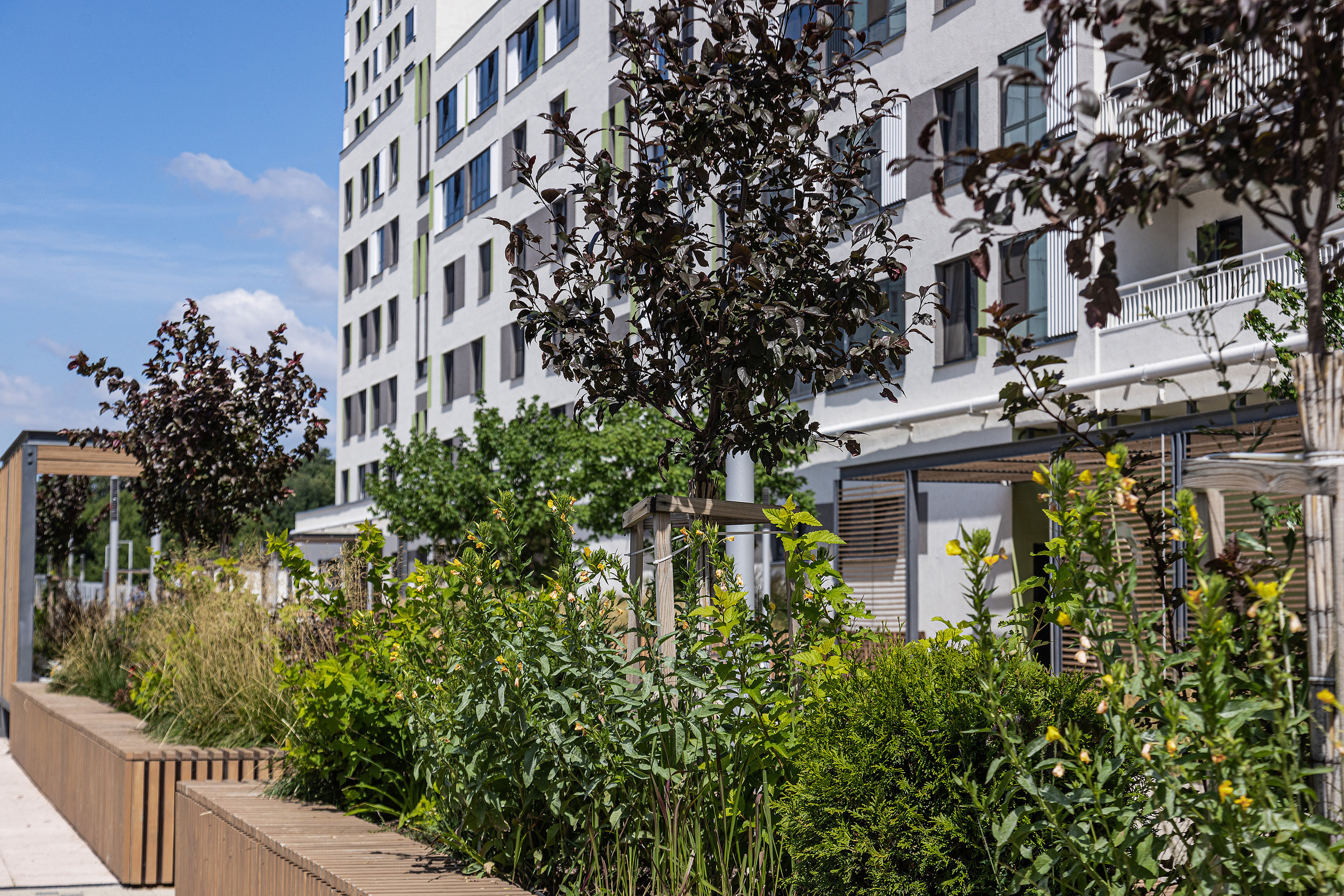 ЖК 5 Столиц, ландшафтный дизайн. Фотограф, видеограф