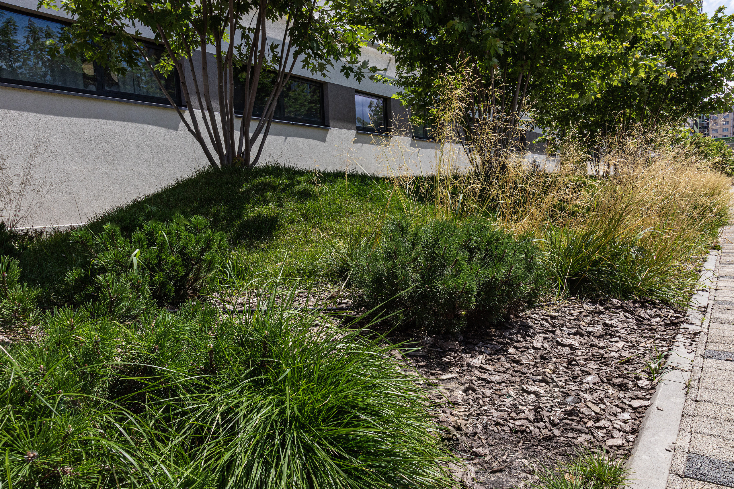 ЖК 5 Столиц, ландшафтный дизайн. Фотограф, видеограф