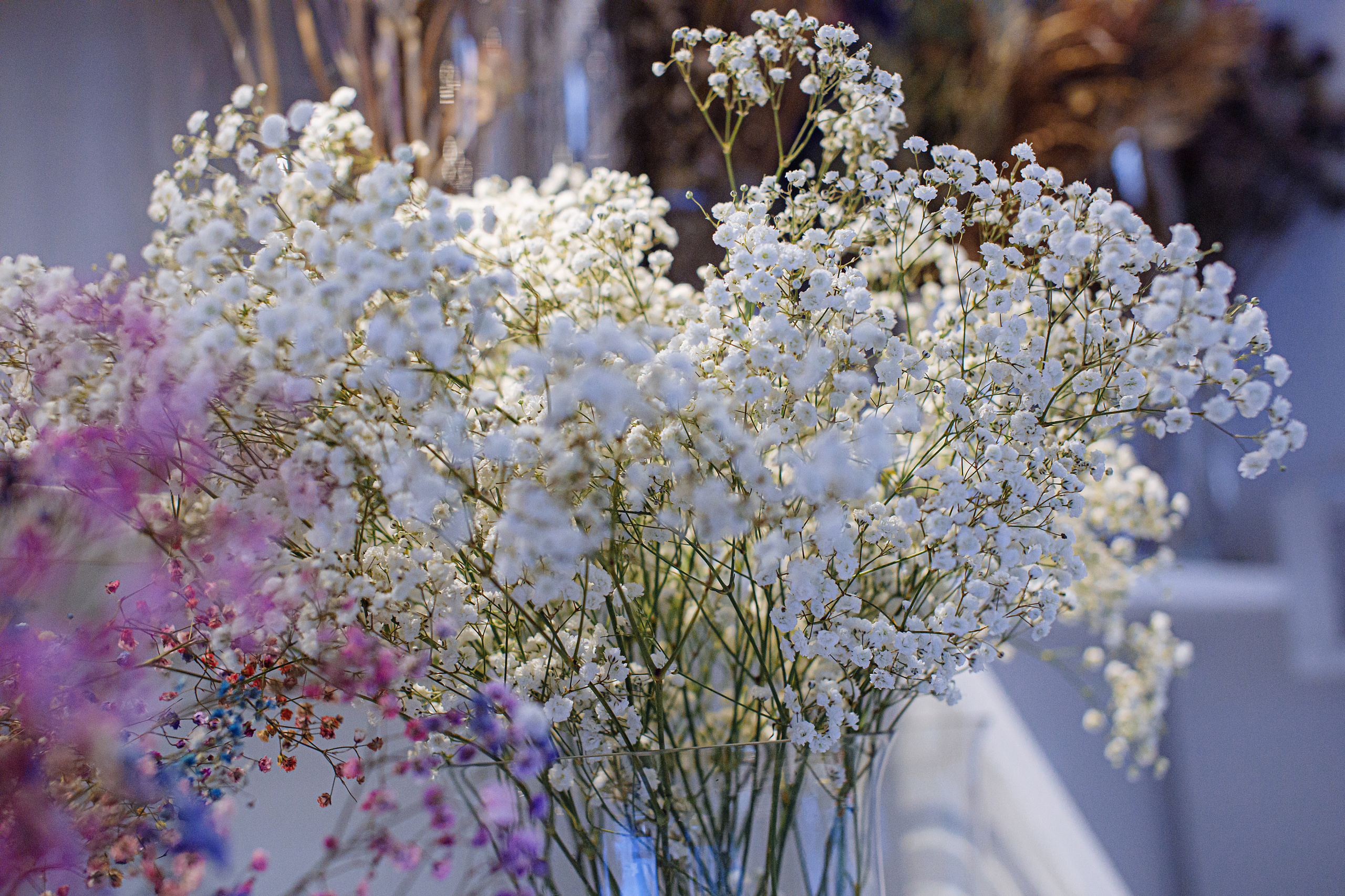 Цветочный магазин «Шамса». Фотограф, видеограф
