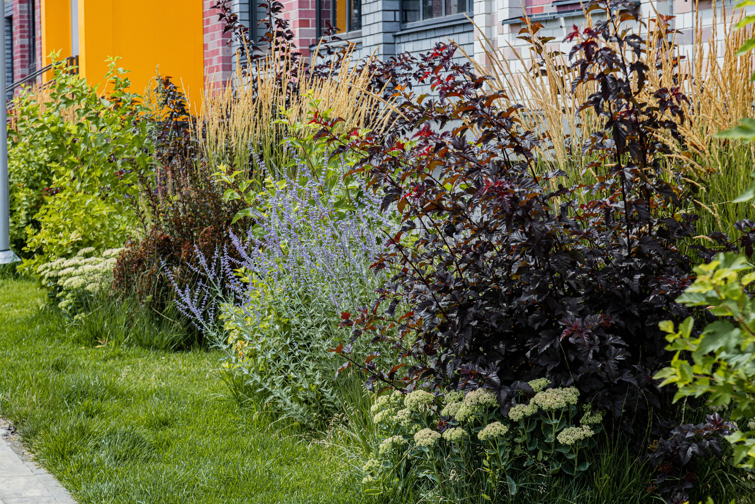 ЖК 5 Столиц, ландшафтный дизайн. Фотограф, видеограф