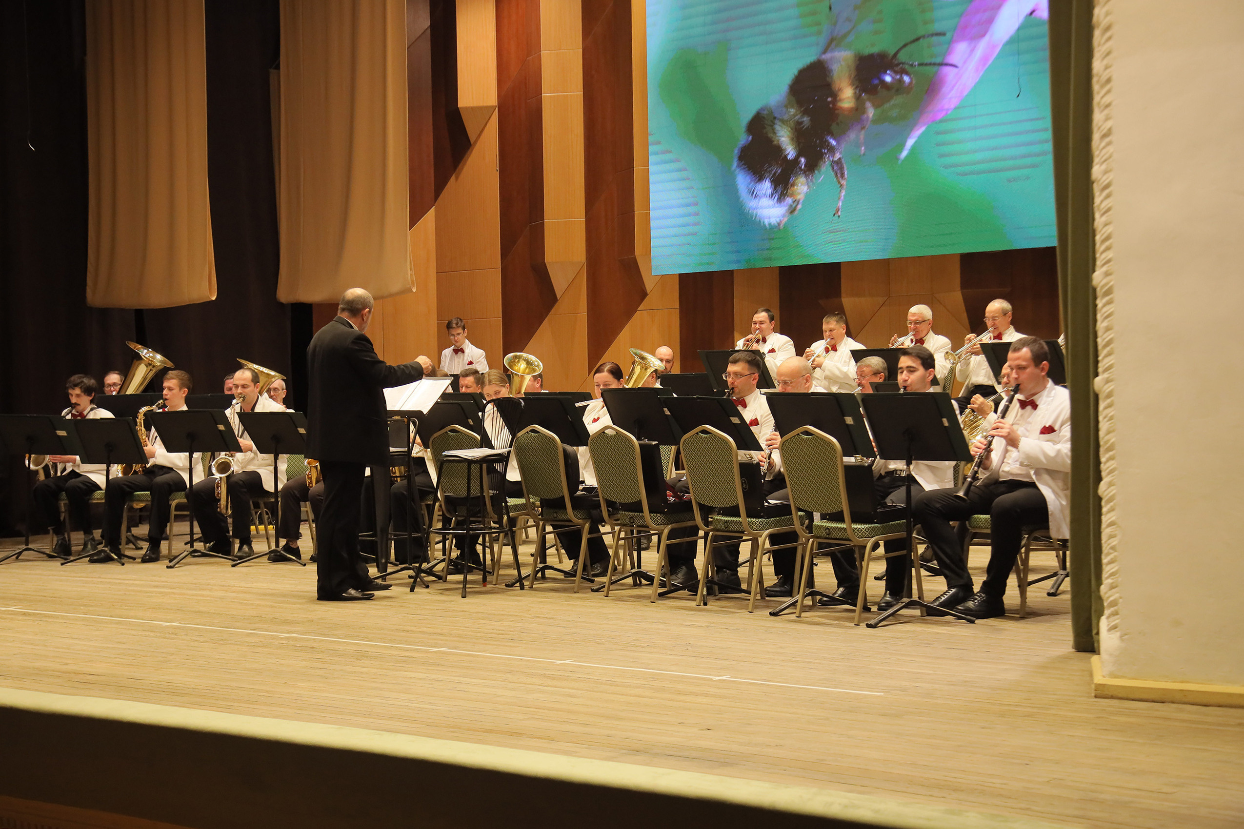 Отчётный концерт в филармонии. Фотограф, видеограф