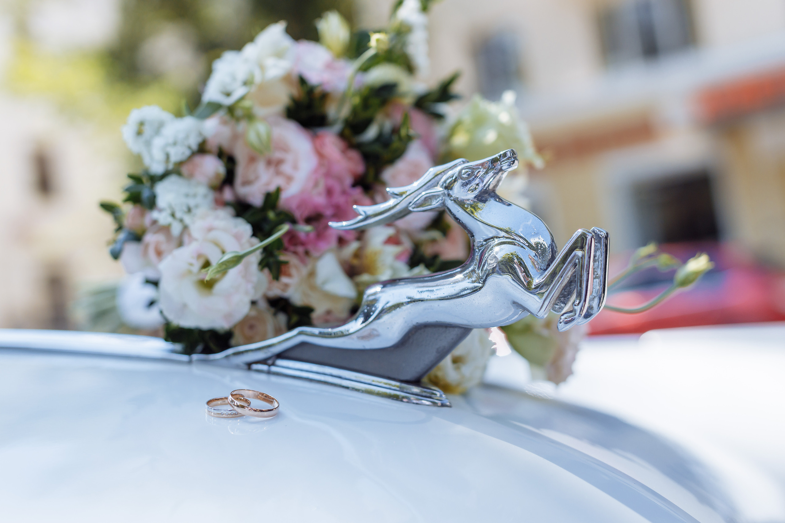 Павел и Кристина. Фотограф, видеограф